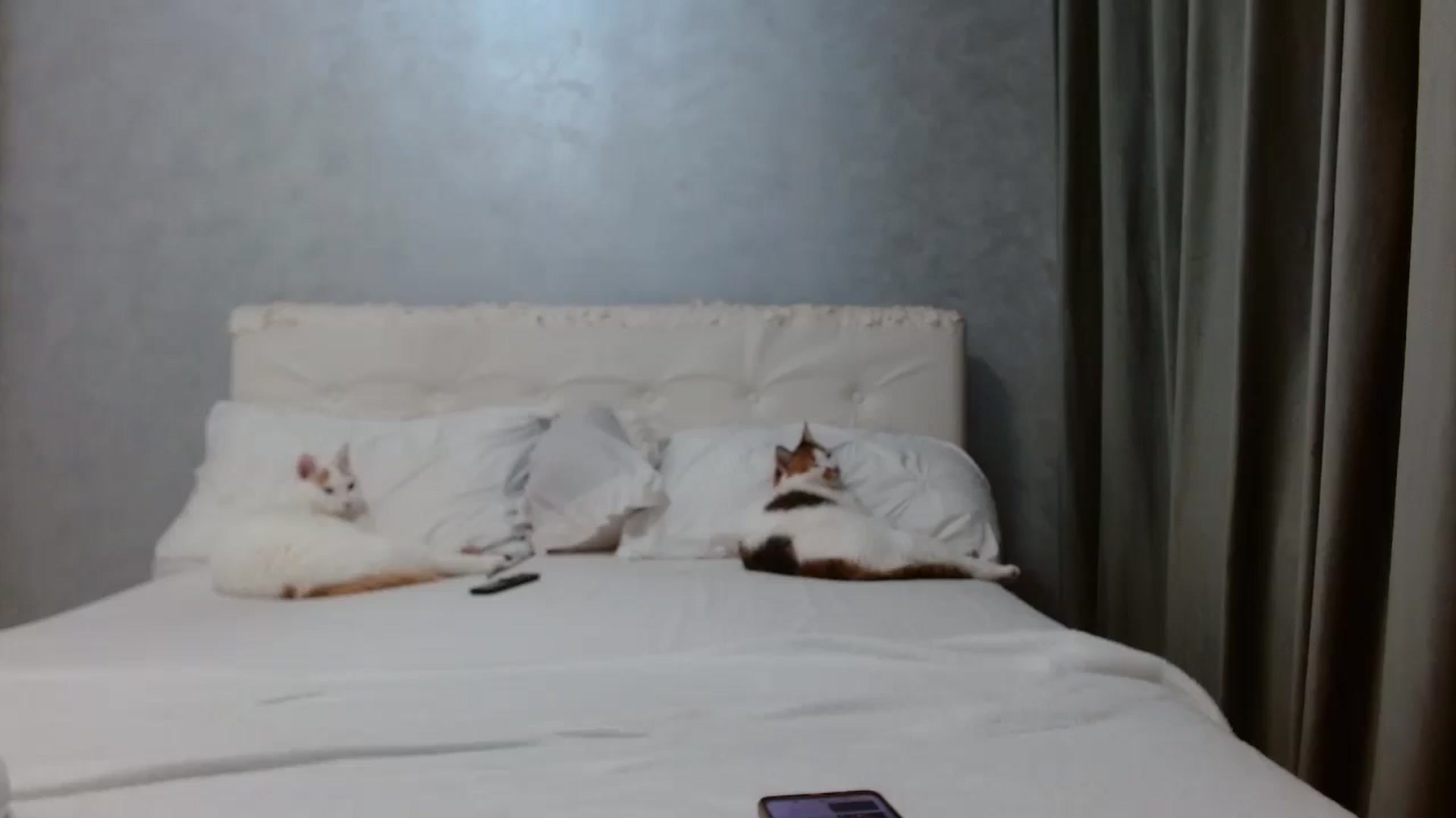 Gallery image thumbnail from Aahh_Emilia's myfreecams stream on, 03/22/2026, 17:03 image 10 of 20