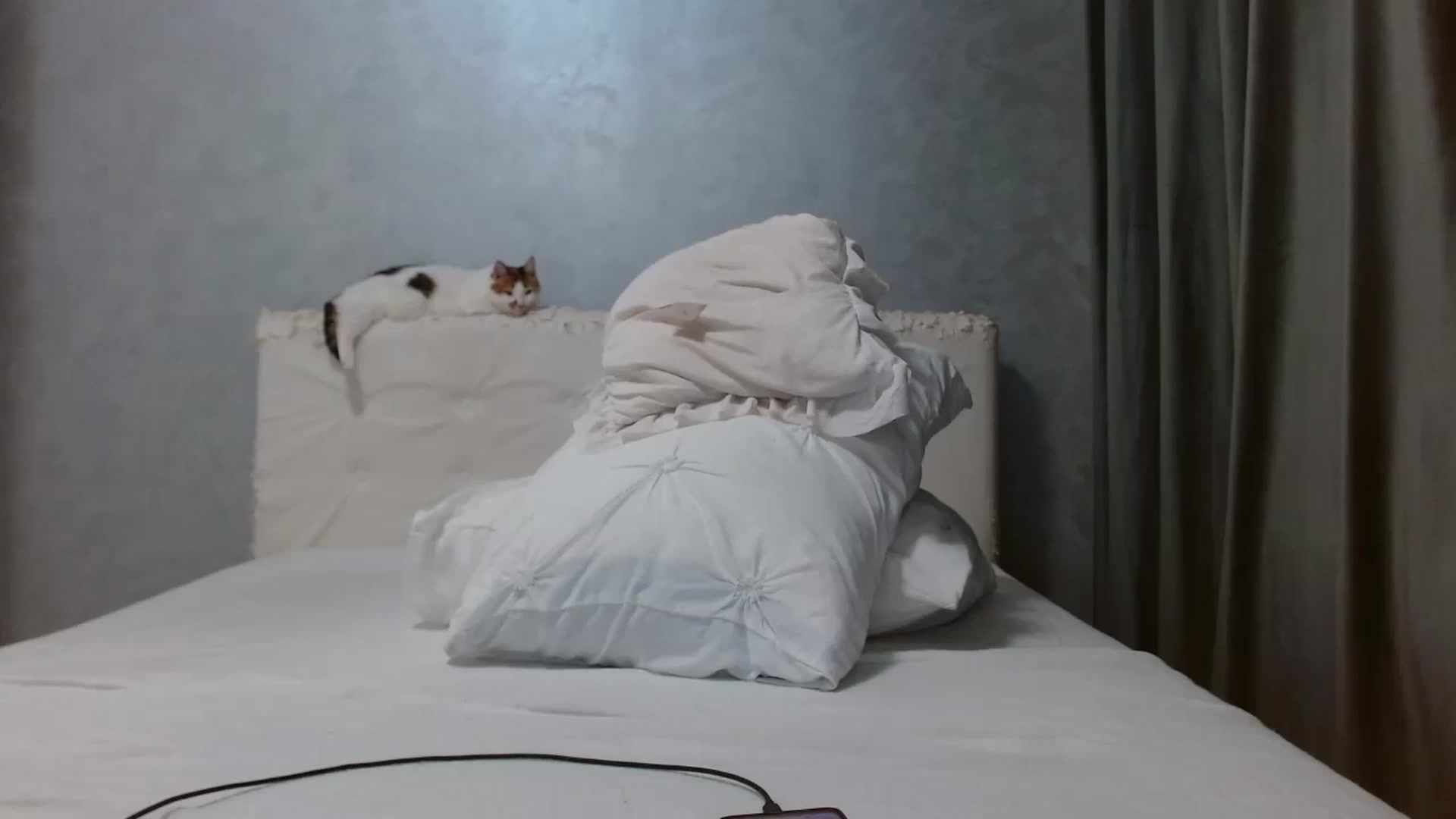 Gallery image thumbnail from Aahh_Emilia's myfreecams stream on, 03/25/2026, 18:10 image 8 of 20