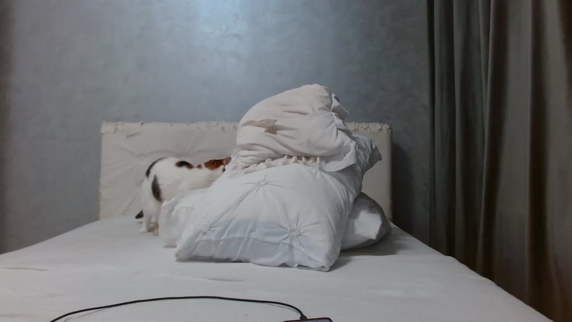 Gallery image thumbnail from Aahh_Emilia's myfreecams stream on, 03/25/2026, 18:10 image 9 of 20