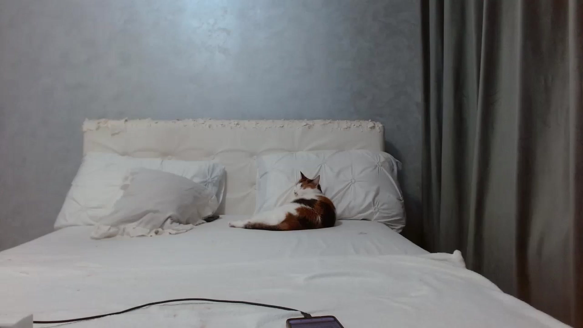 Gallery image thumbnail from Aahh_Emilia's myfreecams stream on, 03/26/2026, 16:42 image 5 of 20