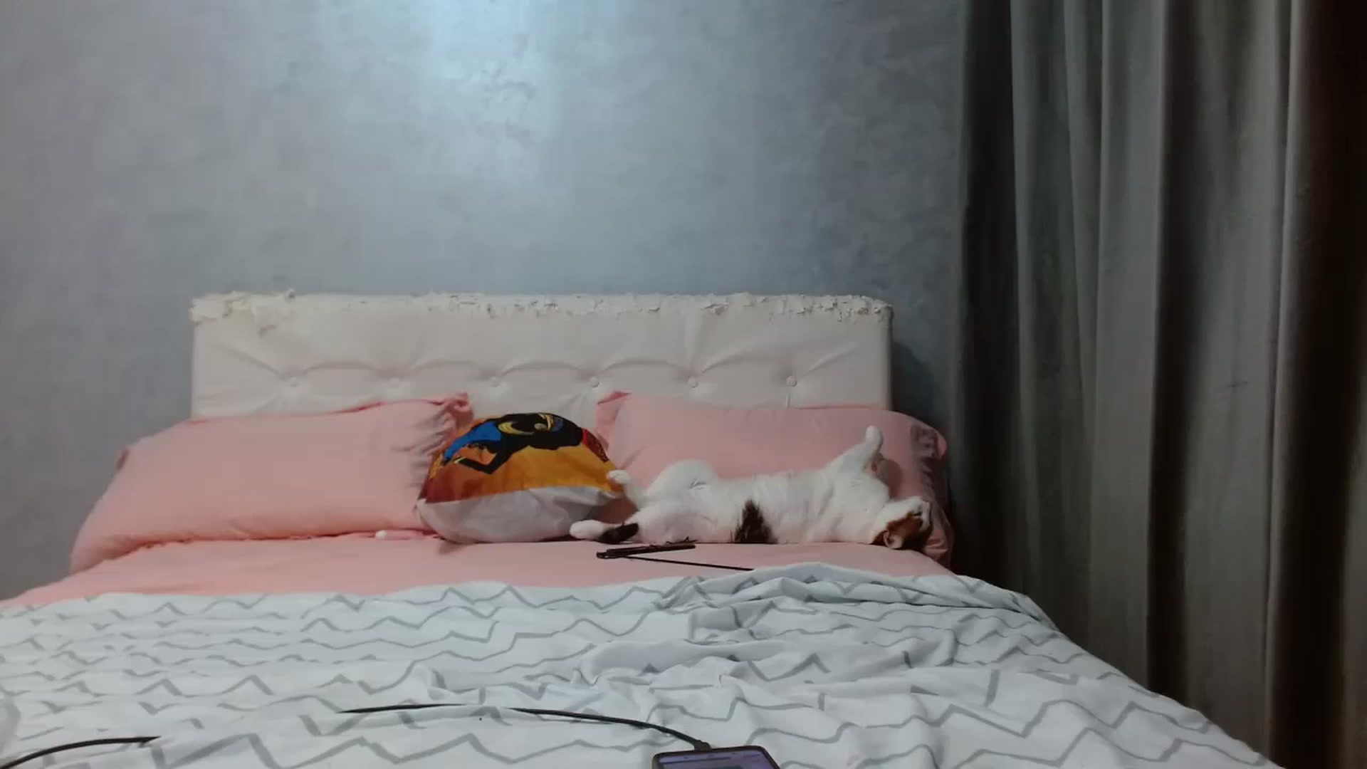 Gallery image thumbnail from Aahh_Emilia's myfreecams stream on, 03/30/2026, 16:45 image 9 of 20