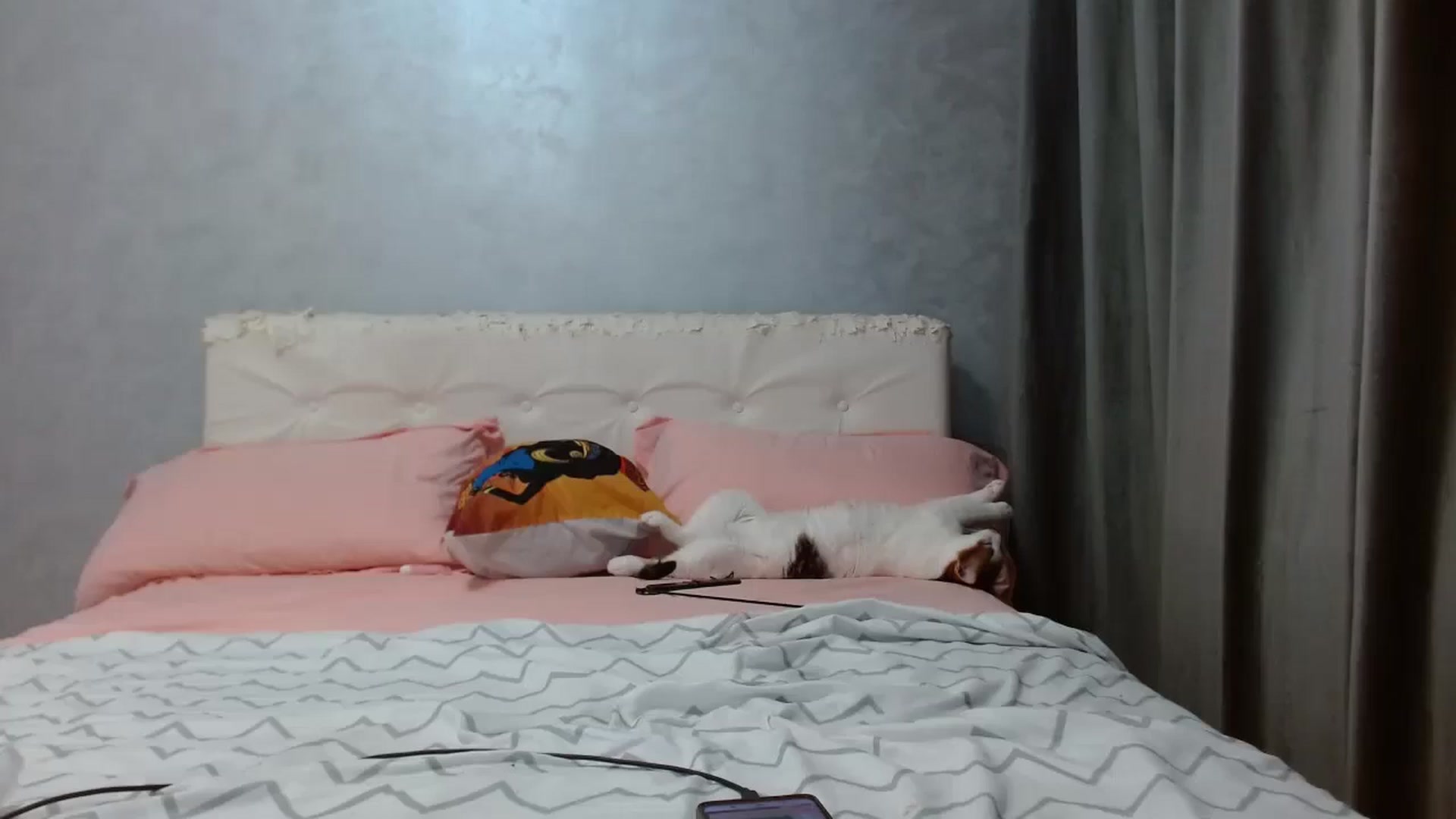 Gallery image thumbnail from Aahh_Emilia's myfreecams stream on, 03/30/2026, 16:45 image 10 of 20