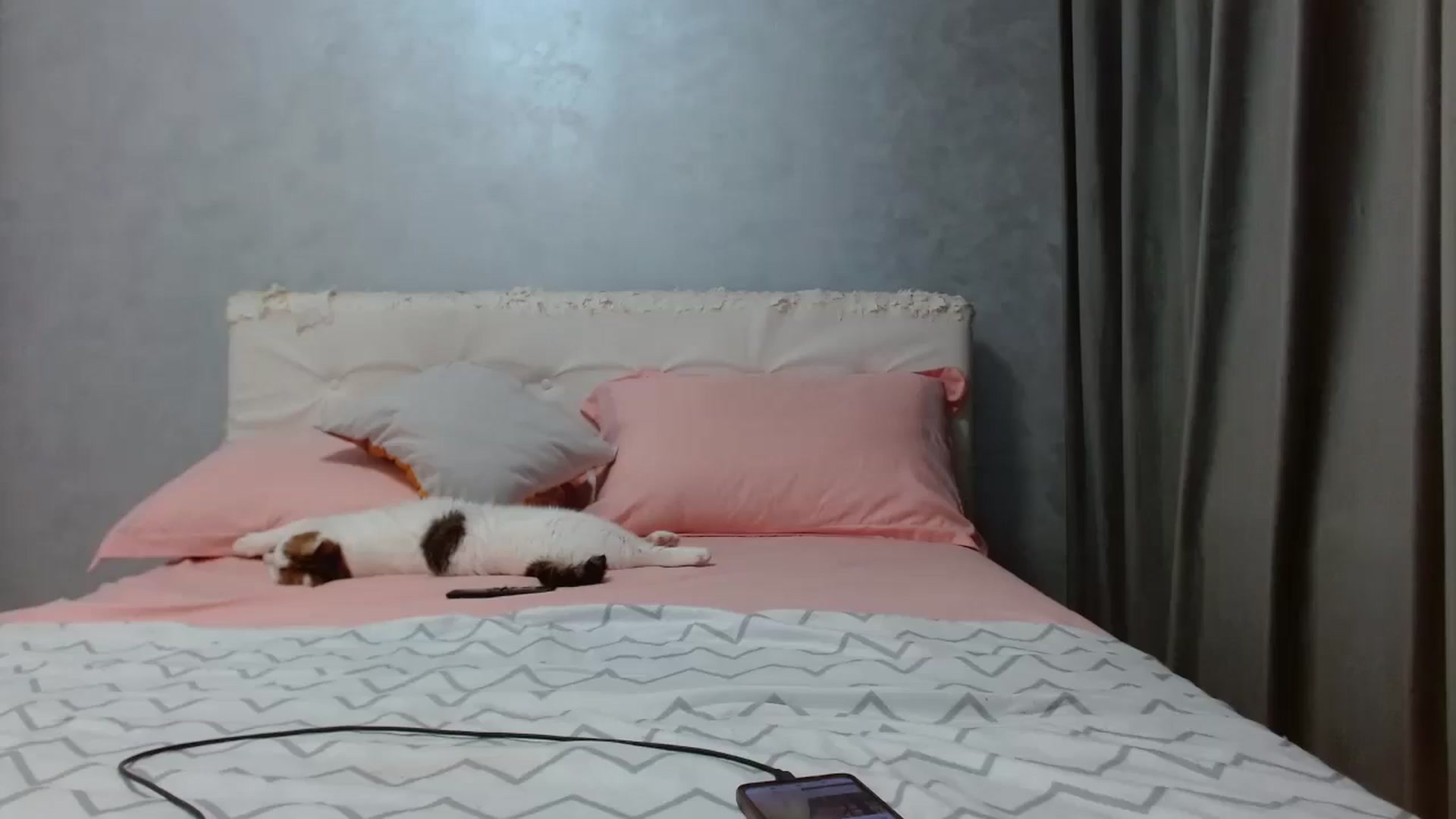 Gallery image thumbnail from Aahh_Emilia's myfreecams stream on, 04/05/2026, 16:46 image 12 of 20