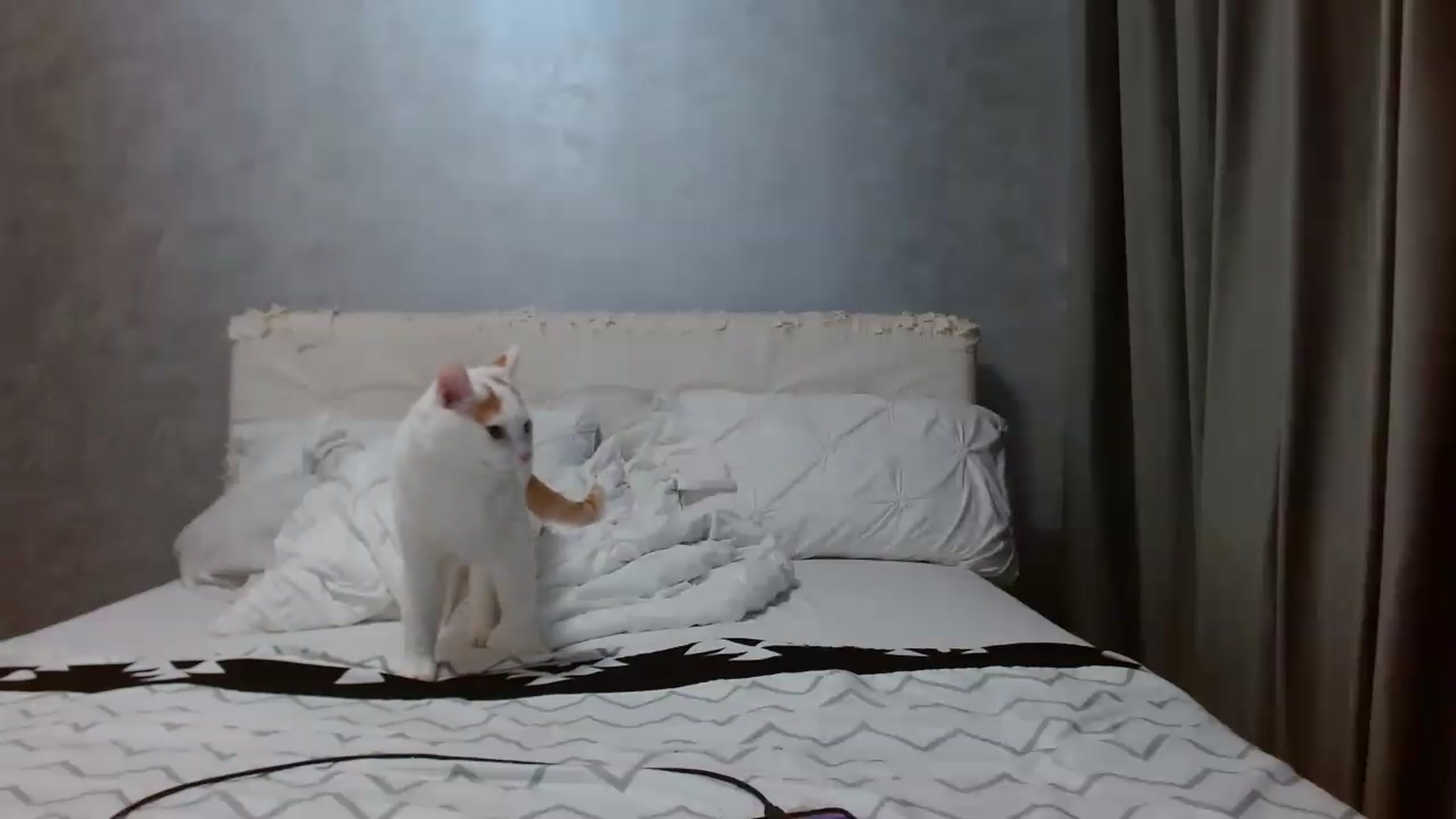 Gallery image thumbnail from Aahh_Emilia's myfreecams stream on, 04/07/2026, 16:27 image 14 of 20
