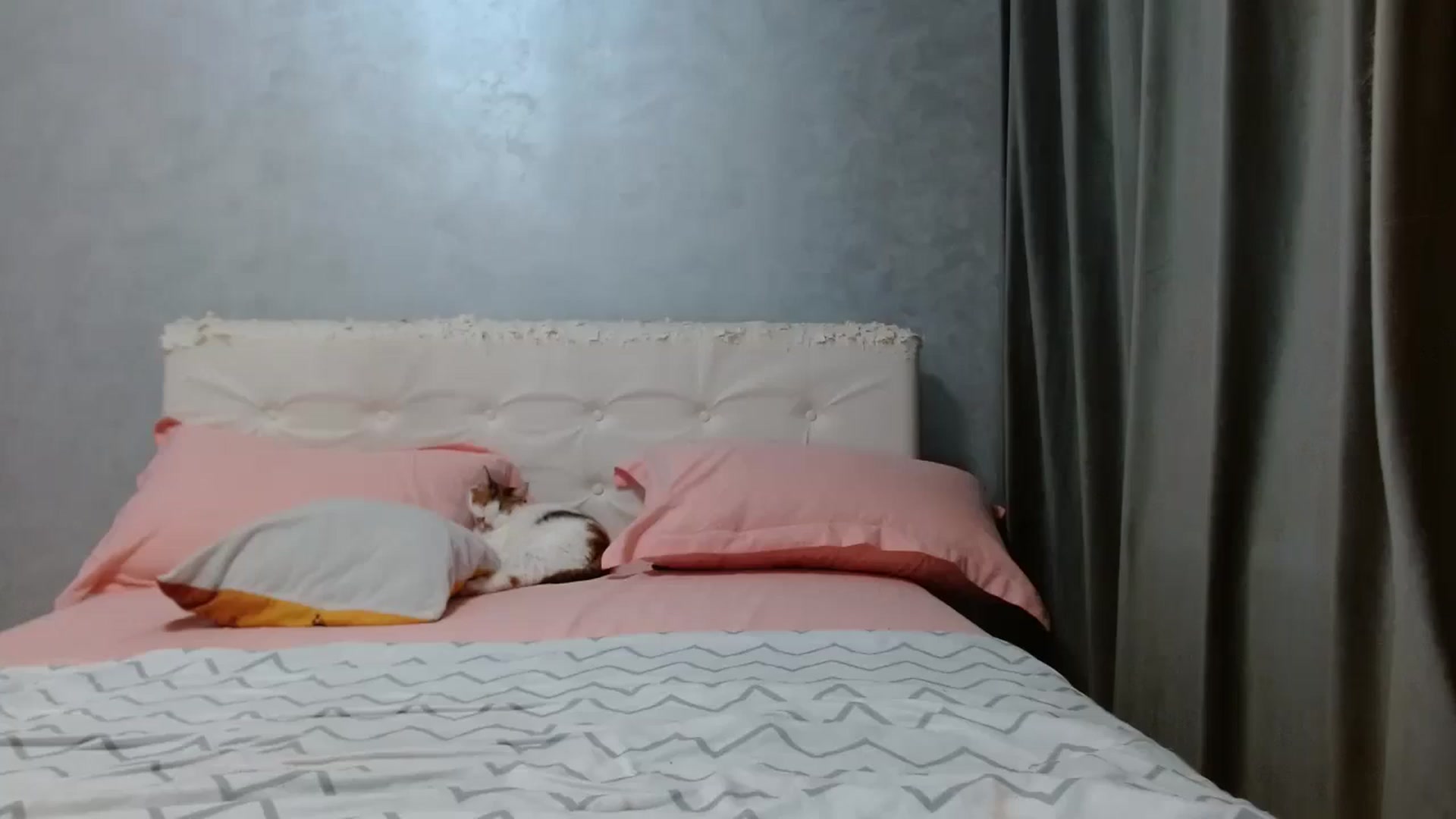 Gallery image thumbnail from Aahh_Emilia's myfreecams stream on, 04/18/2026, 16:57 image 10 of 20