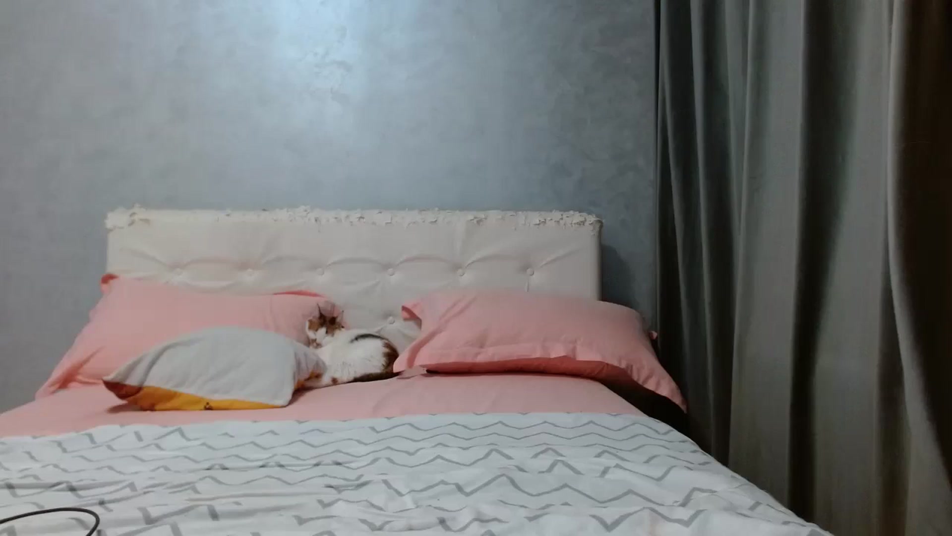 Gallery image thumbnail from Aahh_Emilia's myfreecams stream on, 04/18/2026, 16:57 image 7 of 20