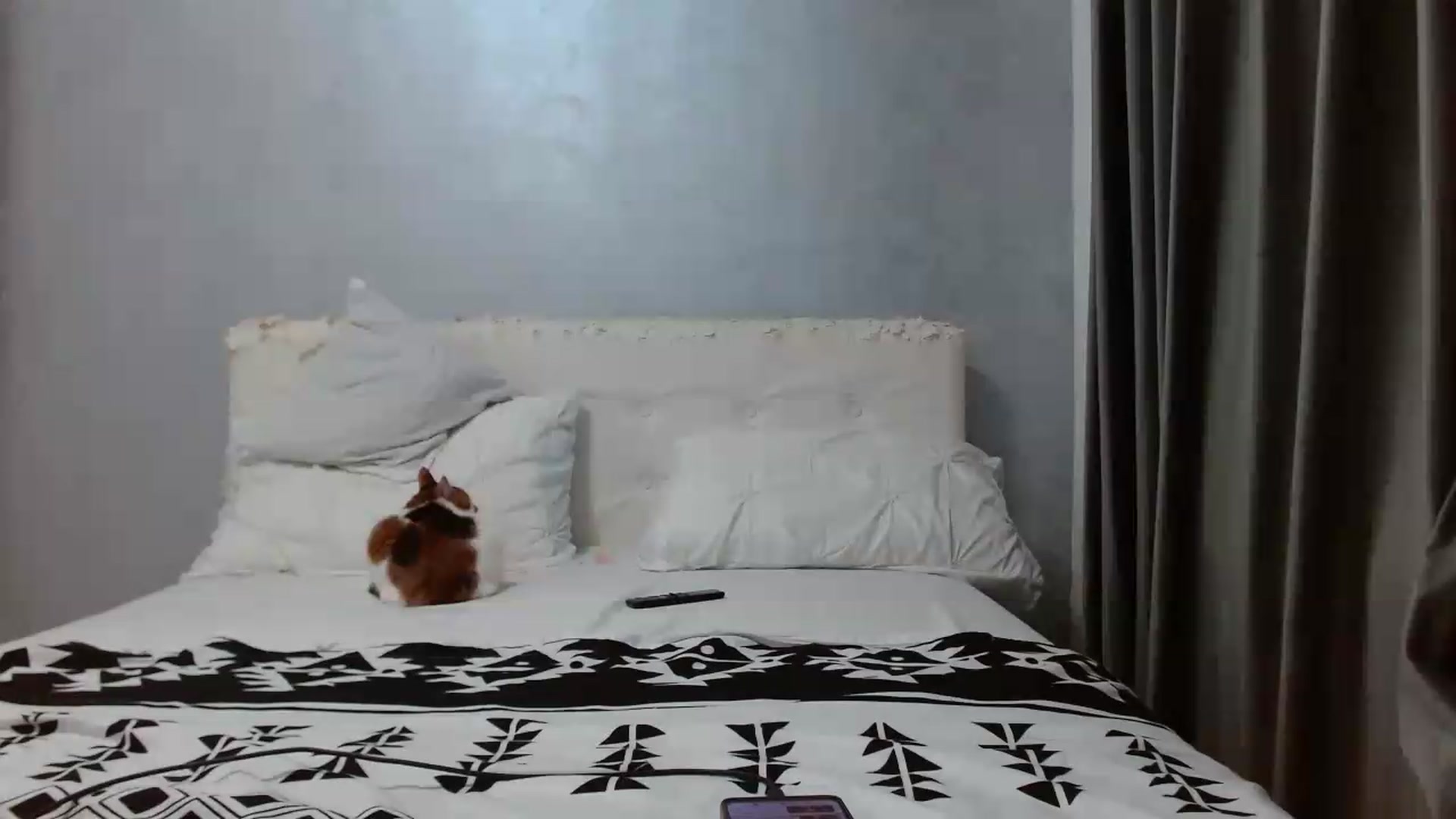 Gallery image thumbnail from Aahh_Emilia's myfreecams stream on, 05/13/2026, 16:19 image 13 of 20