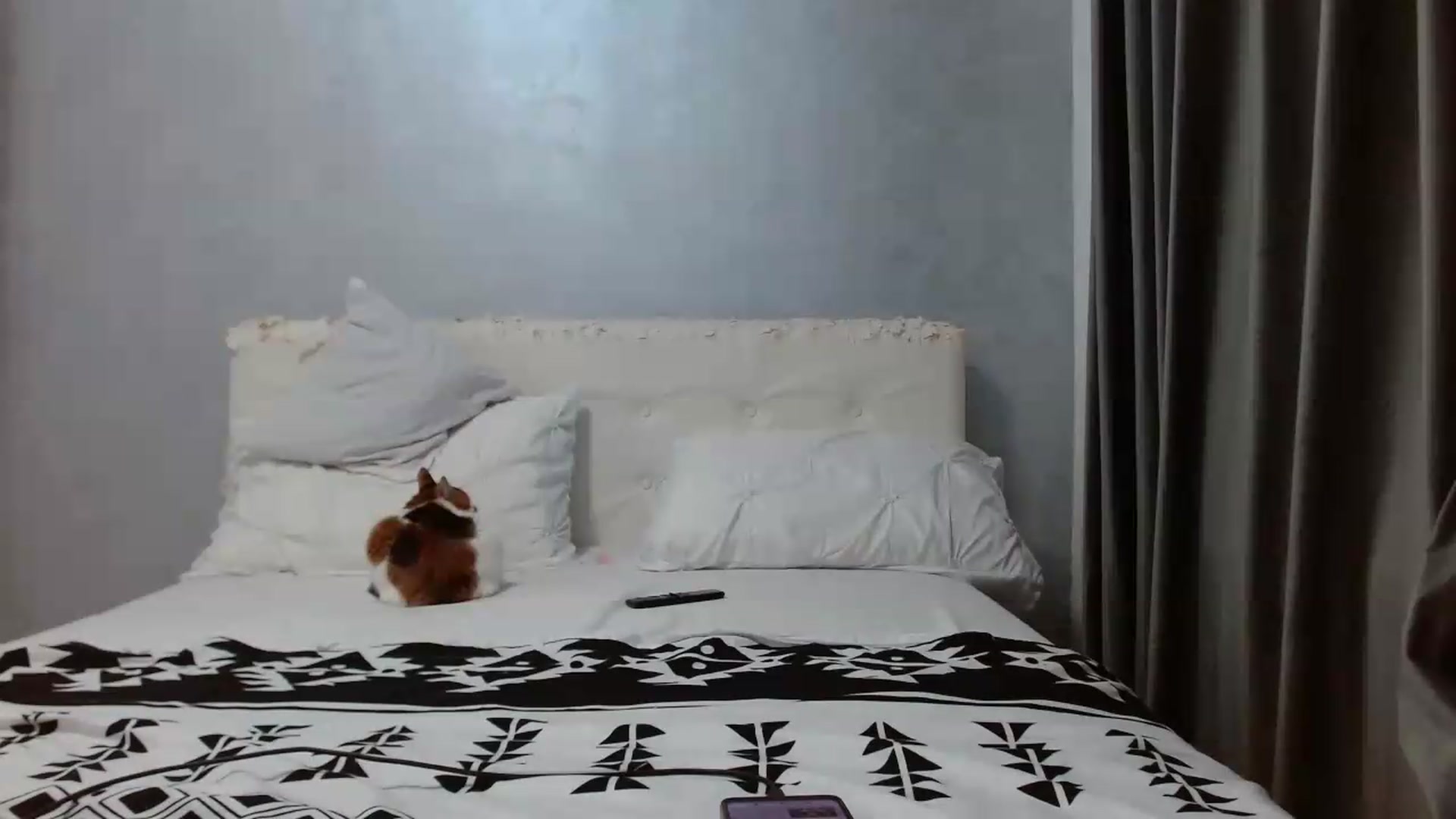 Gallery image thumbnail from Aahh_Emilia's myfreecams stream on, 05/13/2026, 16:19 image 16 of 20