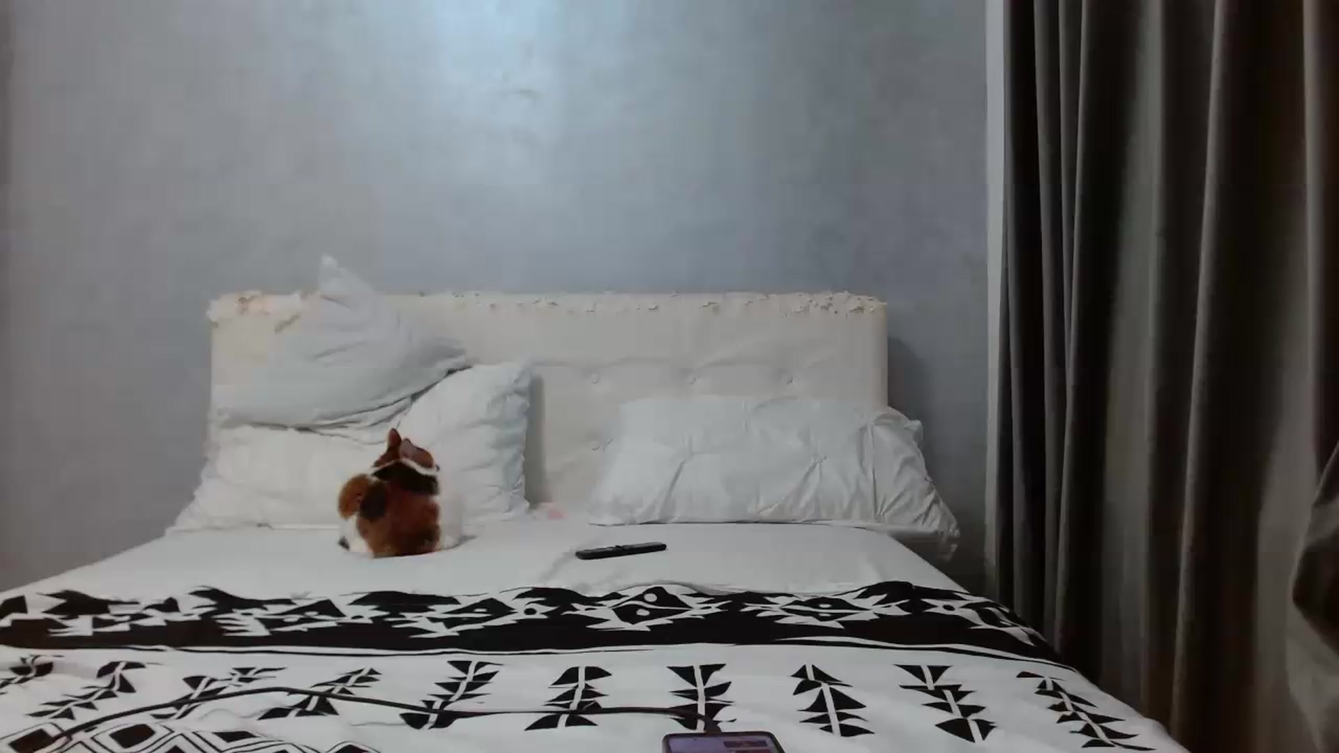 Gallery image thumbnail from Aahh_Emilia's myfreecams stream on, 05/13/2026, 16:19 image 12 of 20