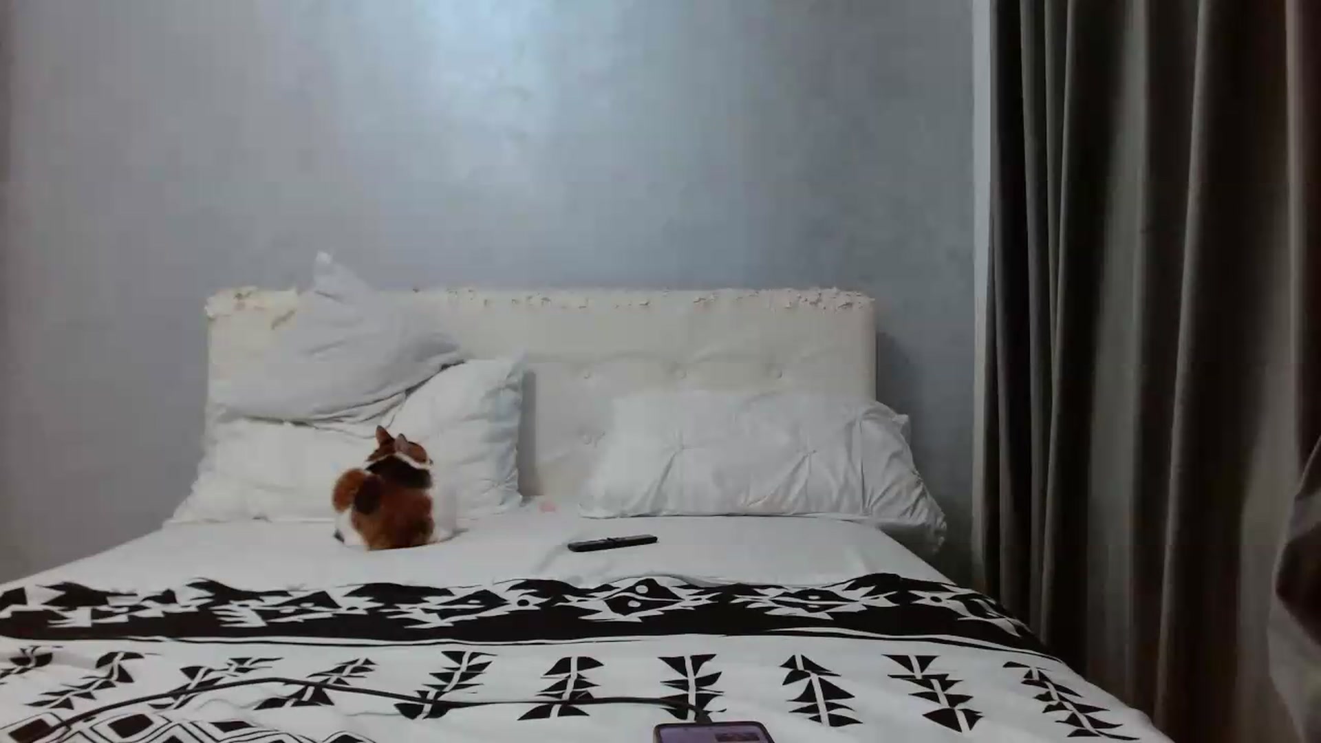 Gallery image thumbnail from Aahh_Emilia's myfreecams stream on, 05/13/2026, 16:19 image 17 of 20