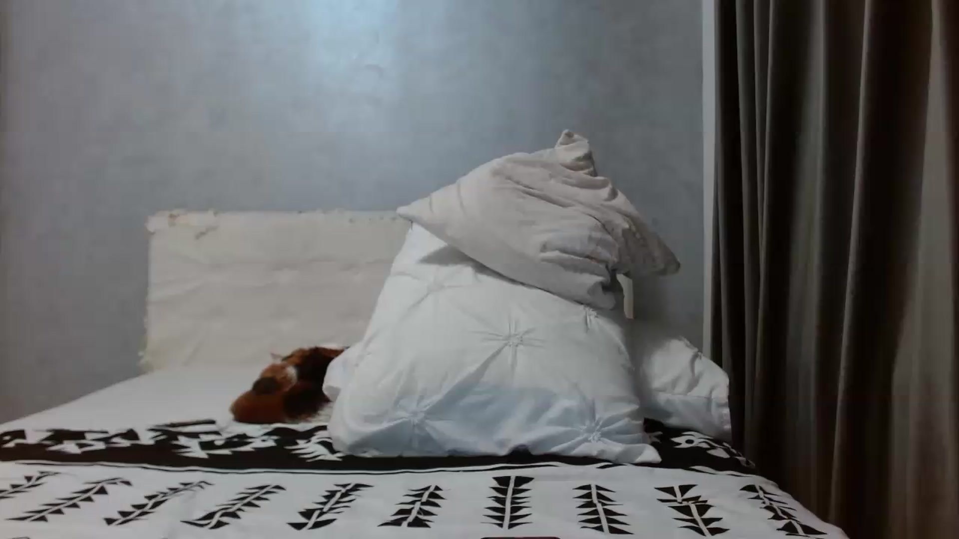 Gallery image thumbnail from Aahh_Emilia's myfreecams stream on, 05/13/2026, 17:36 image 7 of 20