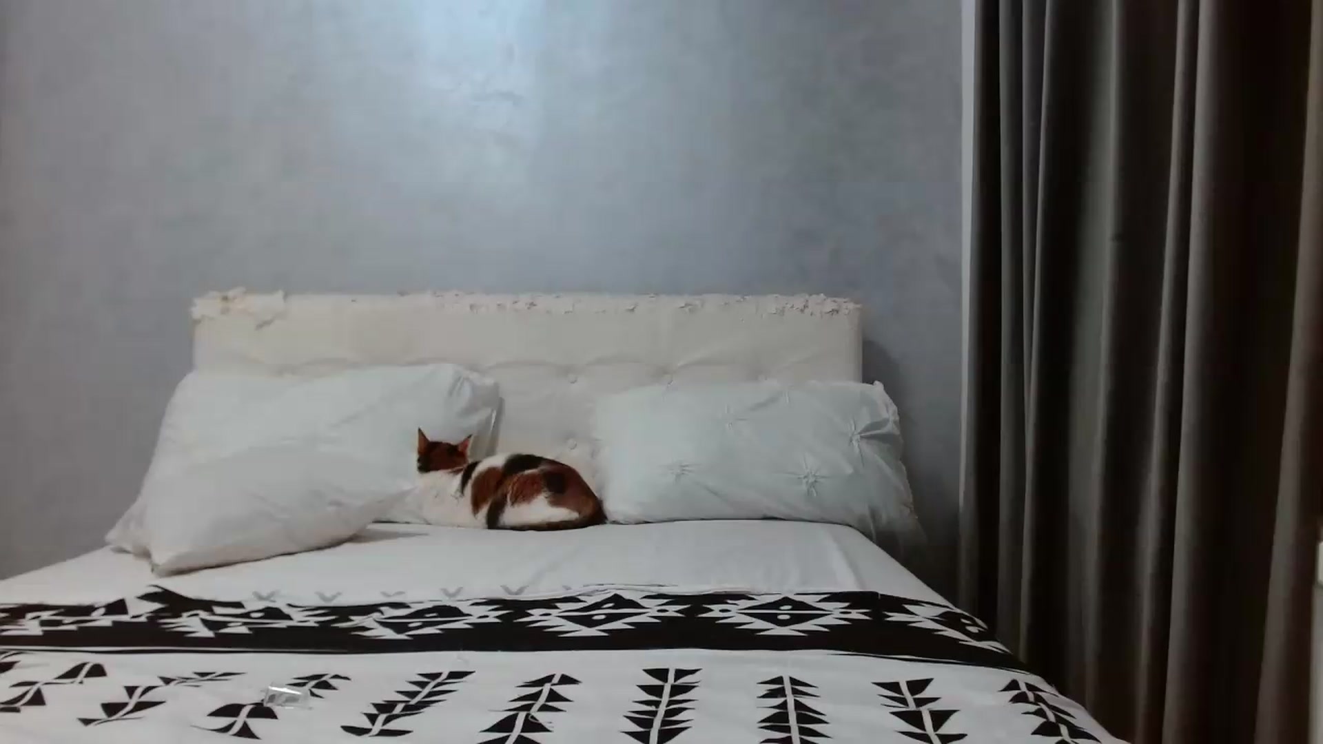 Gallery image thumbnail from Aahh_Emilia's myfreecams stream on, 05/14/2026, 16:21 image 6 of 20