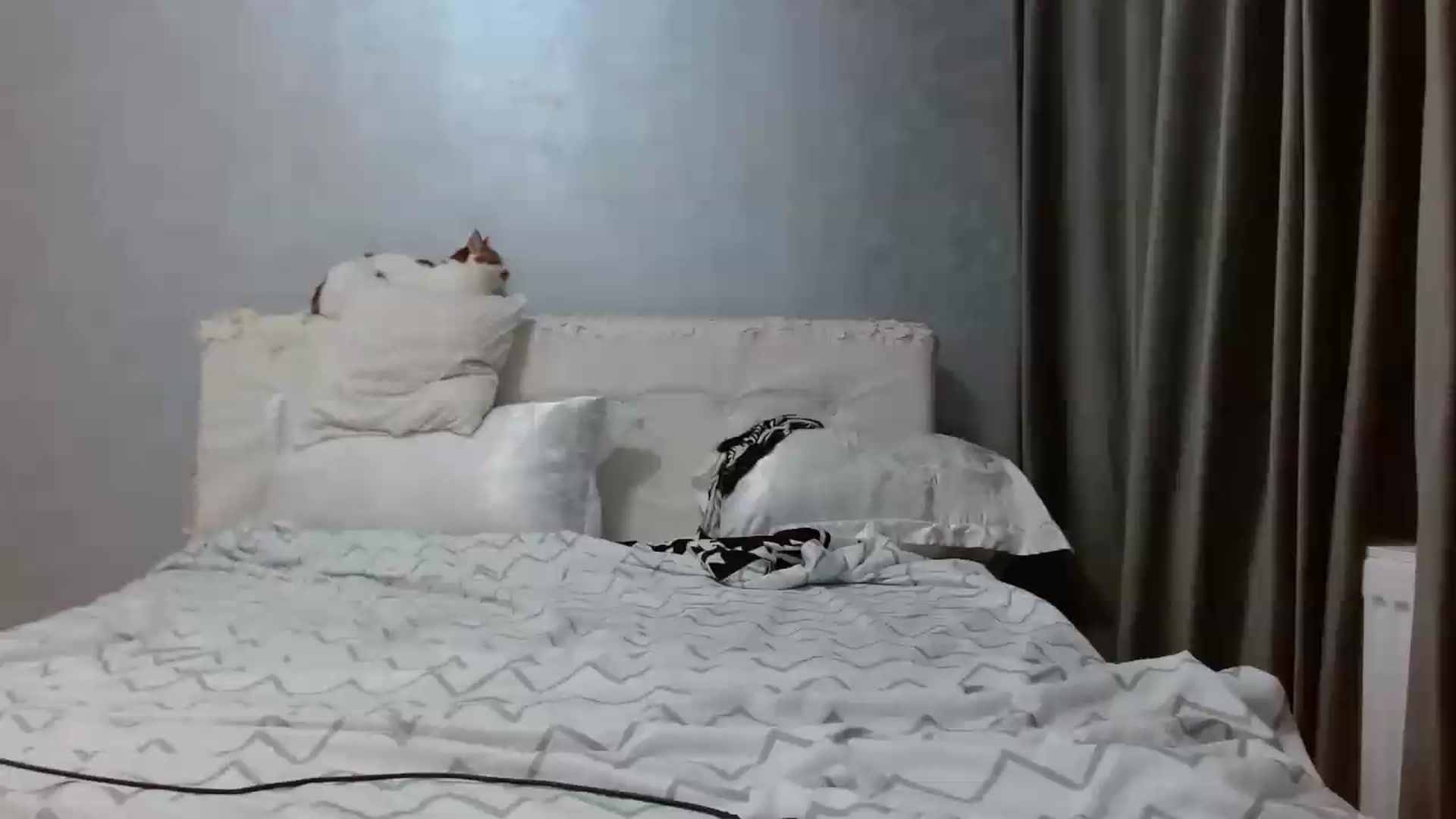 Gallery image thumbnail from Aahh_Emilia's myfreecams stream on, 05/16/2026, 16:23 image 17 of 20
