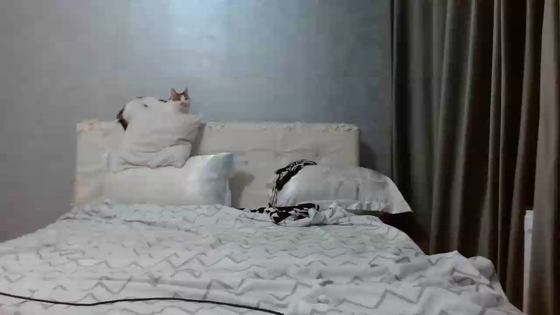 Gallery image thumbnail from Aahh_Emilia's myfreecams stream on, 05/16/2026, 16:23 image 14 of 20