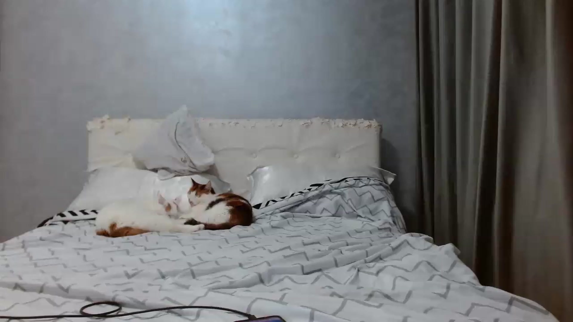 Gallery image thumbnail from Aahh_Emilia's myfreecams stream on, 05/18/2026, 17:01 image 19 of 20