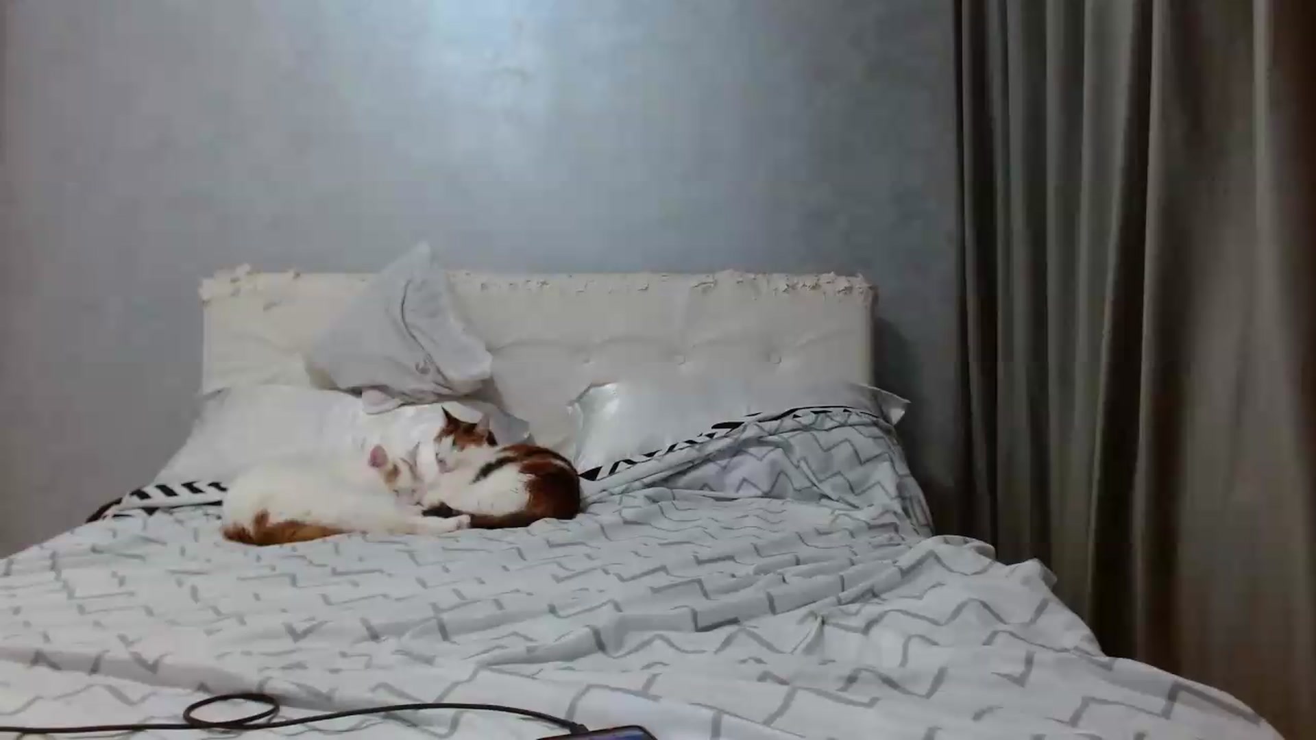 Gallery image thumbnail from Aahh_Emilia's myfreecams stream on, 05/18/2026, 17:01 image 18 of 20