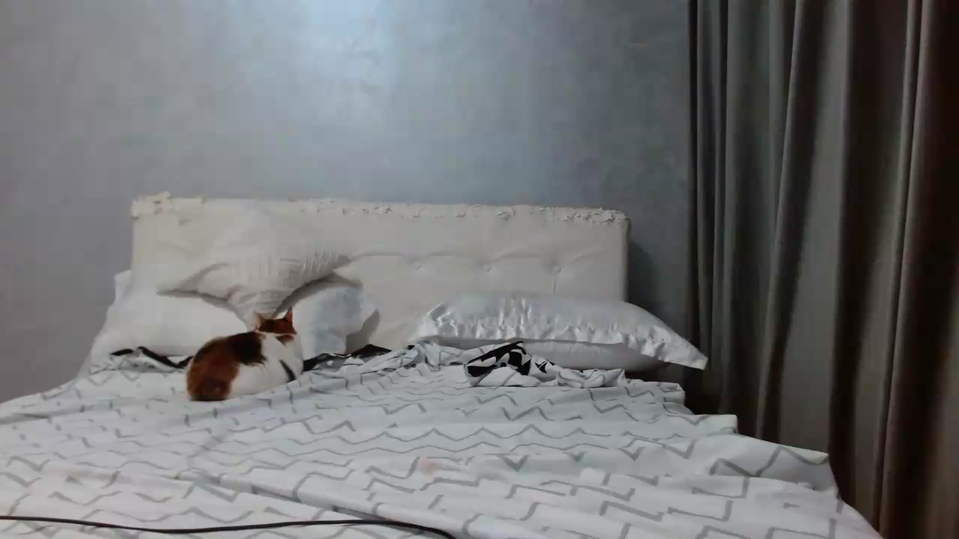 Gallery image thumbnail from Aahh_Emilia's myfreecams stream on, 05/19/2026, 16:52 image 16 of 20