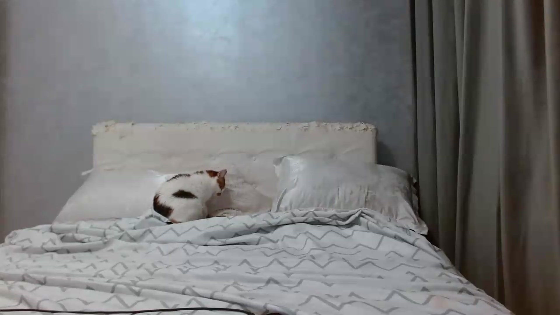 Gallery image thumbnail from Aahh_Emilia's myfreecams stream on, 05/21/2026, 16:51 image 9 of 20