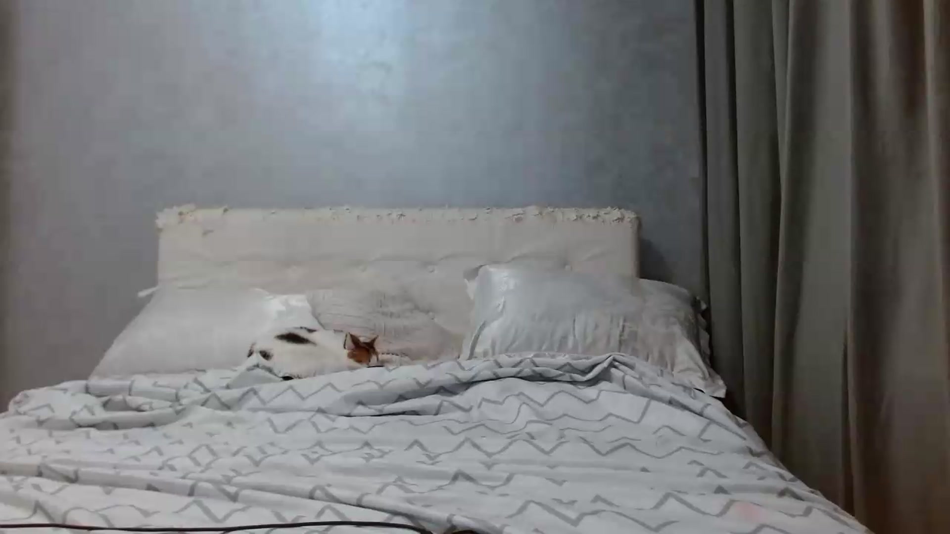 Gallery image thumbnail from Aahh_Emilia's myfreecams stream on, 05/21/2026, 16:51 image 11 of 20