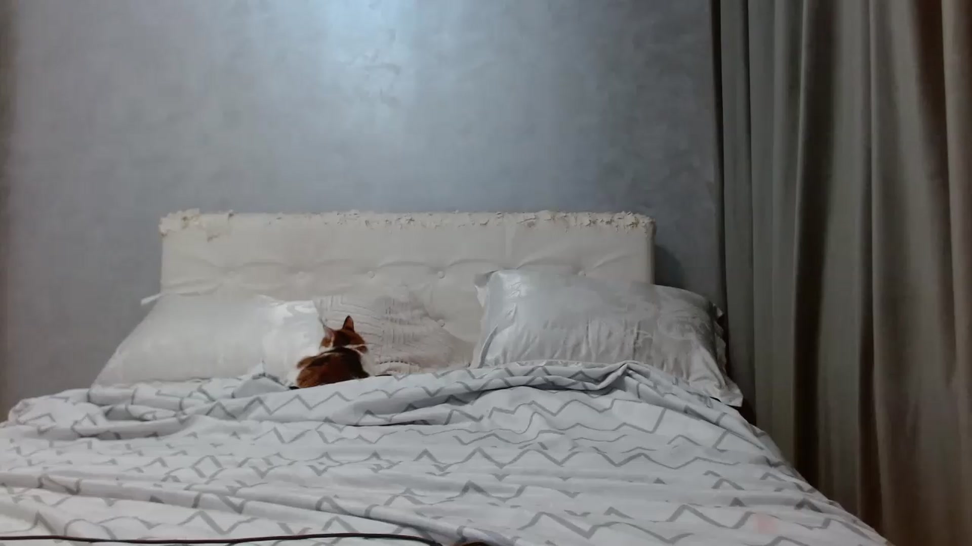 Gallery image thumbnail from Aahh_Emilia's myfreecams stream on, 05/21/2026, 16:51 image 7 of 20
