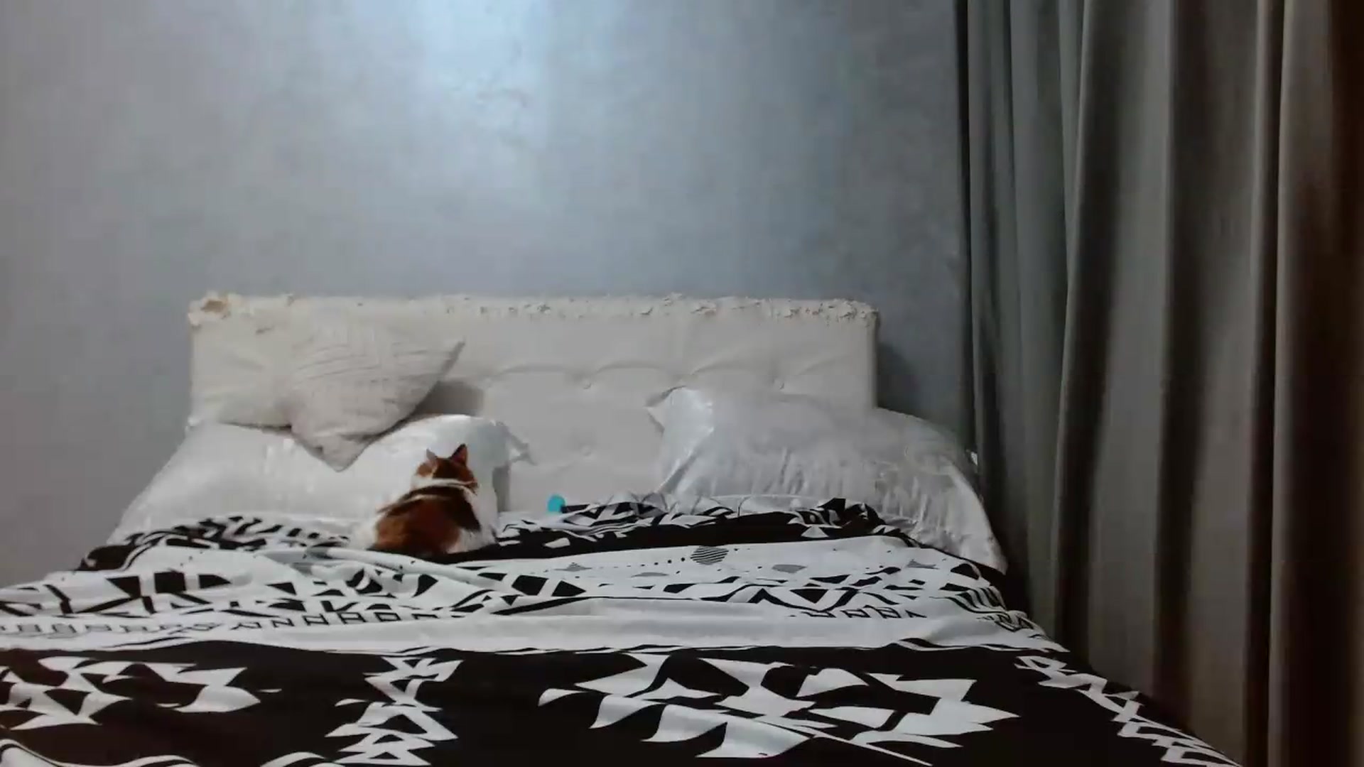 Gallery image thumbnail from Aahh_Emilia's myfreecams stream on, 05/23/2026, 16:27 image 18 of 20