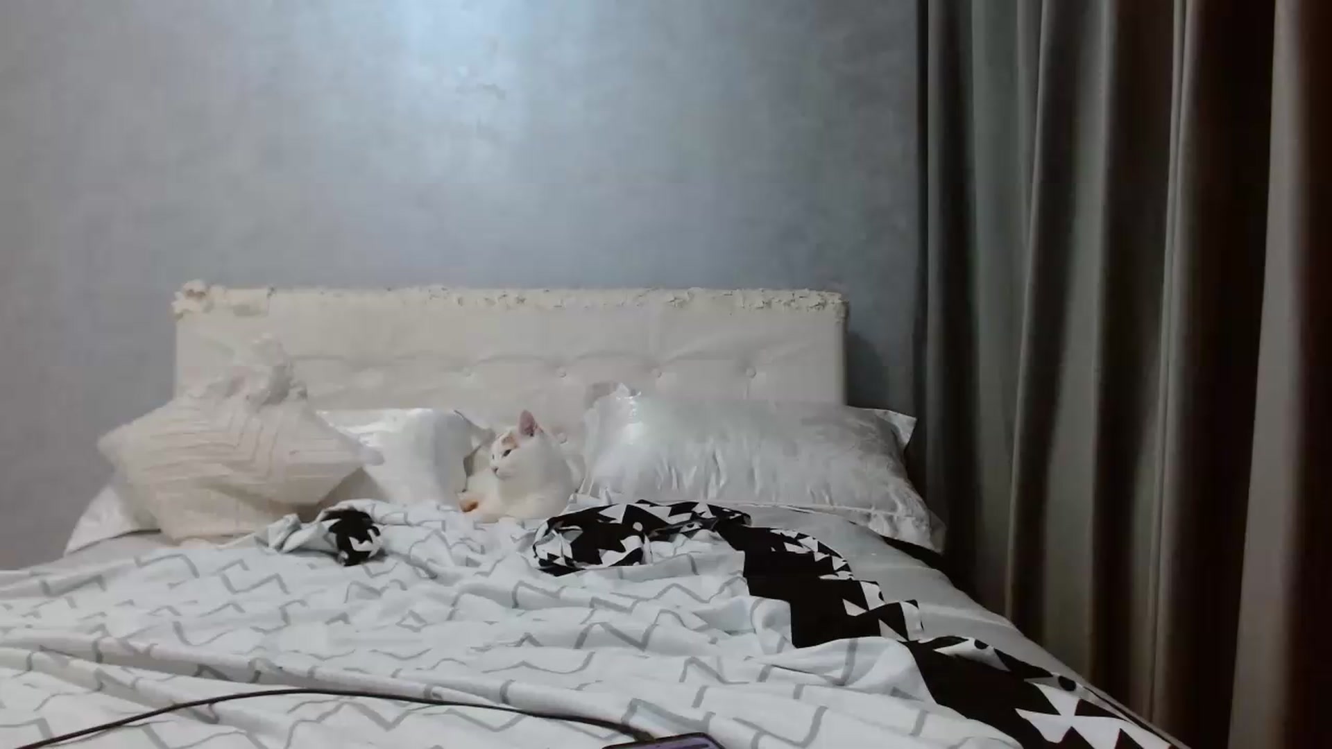 Gallery image thumbnail from Aahh_Emilia's myfreecams stream on, 05/25/2026, 16:47 image 12 of 20