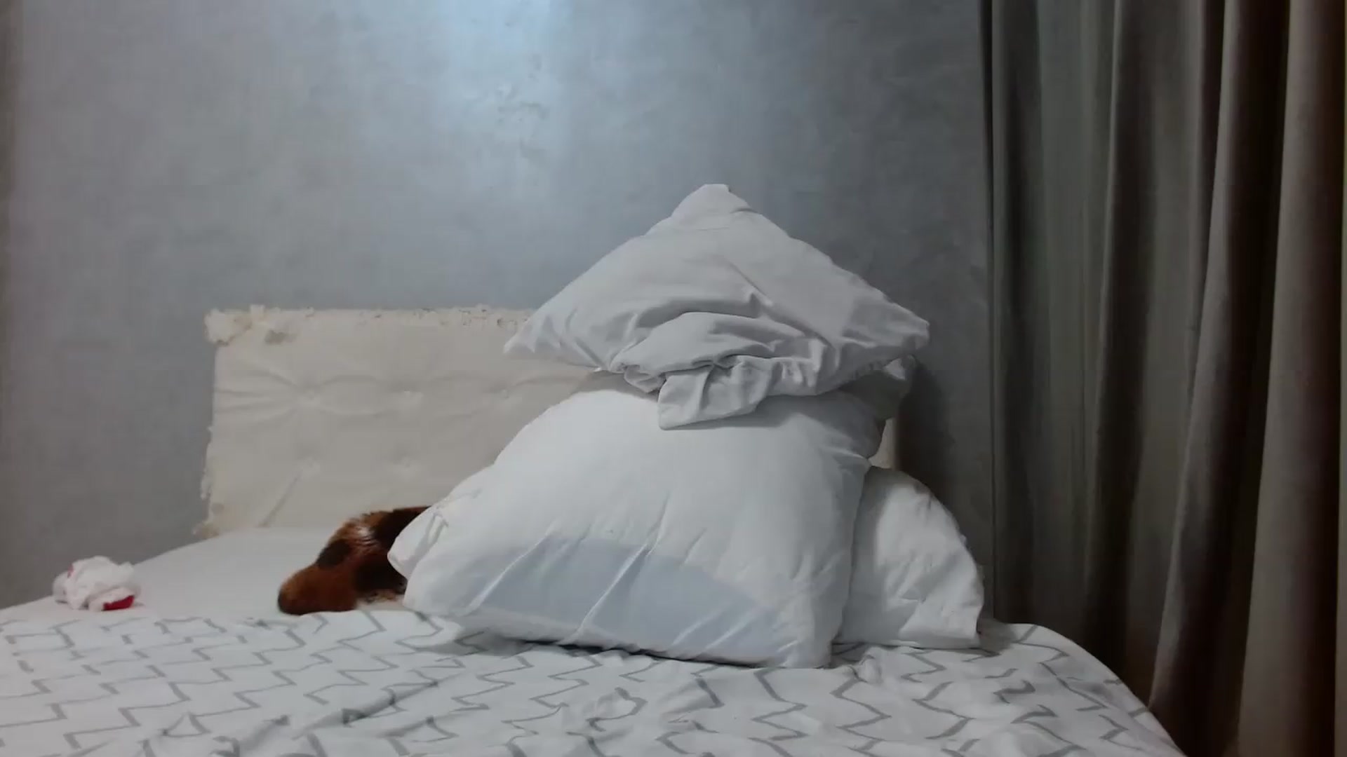 Gallery image thumbnail from Aahh_Emilia's myfreecams stream on, 05/27/2026, 18:10 image 9 of 20