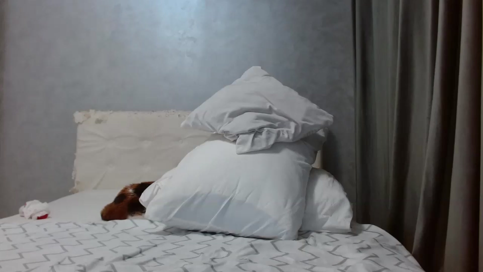 Gallery image thumbnail from Aahh_Emilia's myfreecams stream on, 05/27/2026, 18:10 image 8 of 20