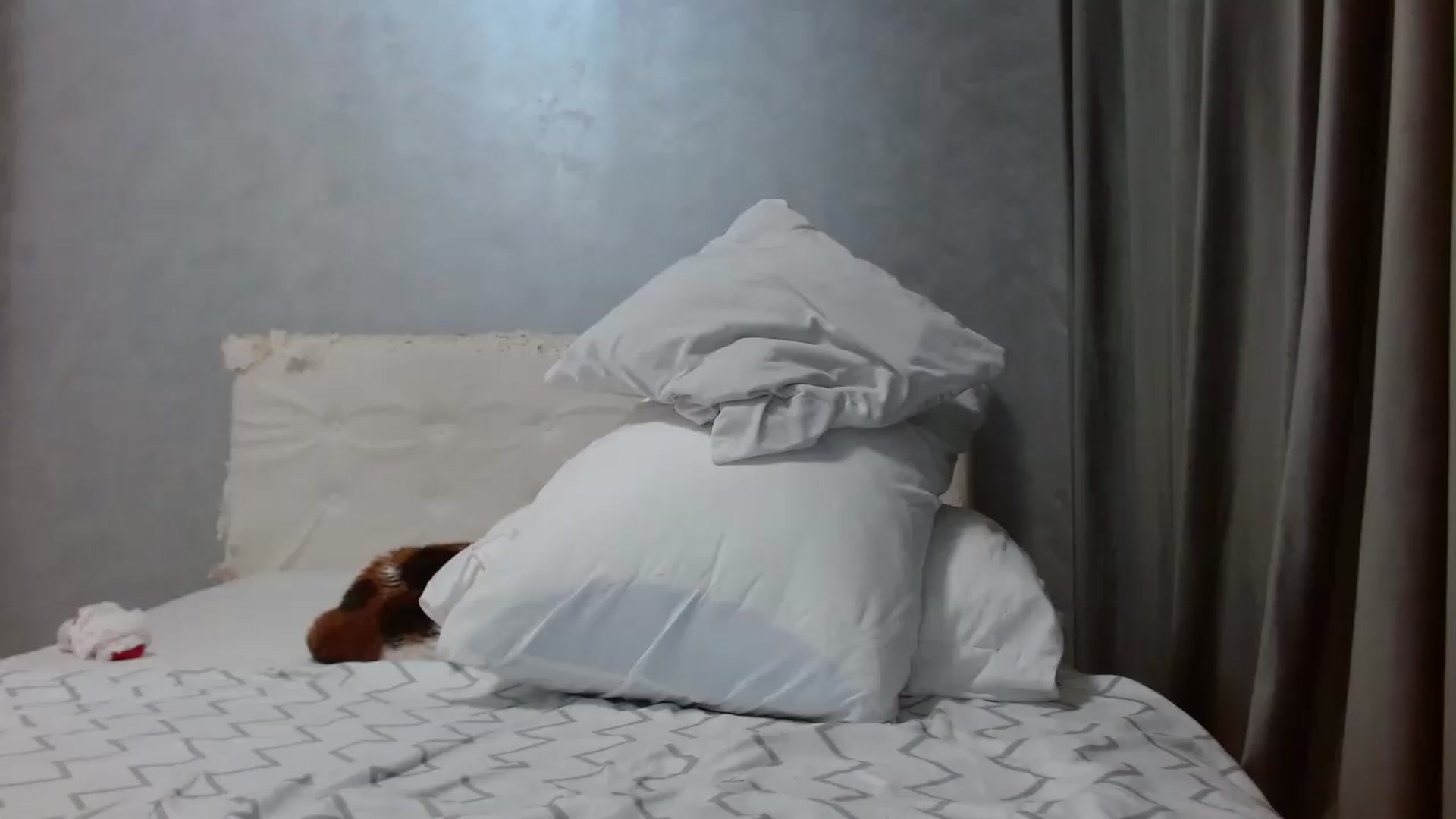 Gallery image thumbnail from Aahh_Emilia's myfreecams stream on, 05/27/2026, 18:10 image 5 of 20