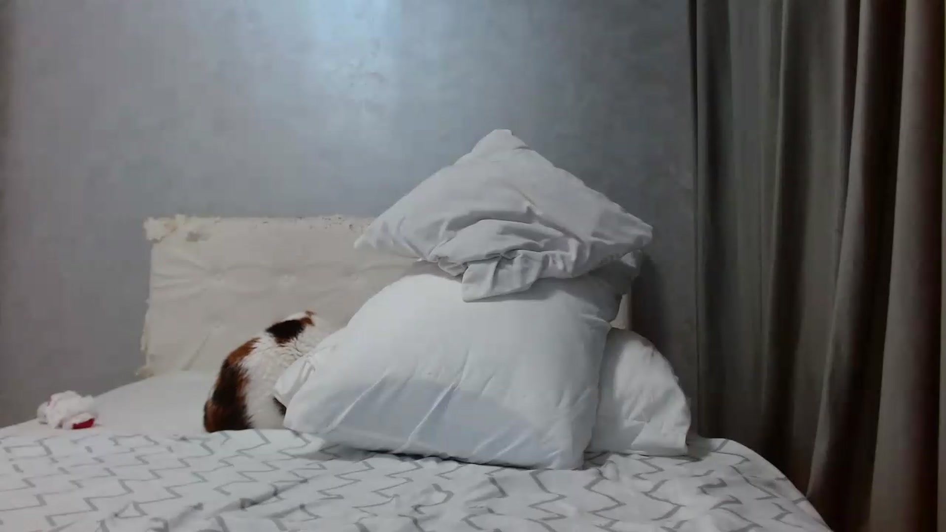 Gallery image thumbnail from Aahh_Emilia's myfreecams stream on, 05/27/2026, 18:10 image 4 of 20