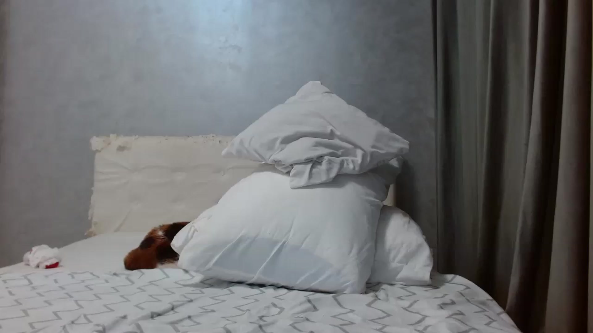 Gallery image thumbnail from Aahh_Emilia's myfreecams stream on, 05/27/2026, 18:10 image 7 of 20