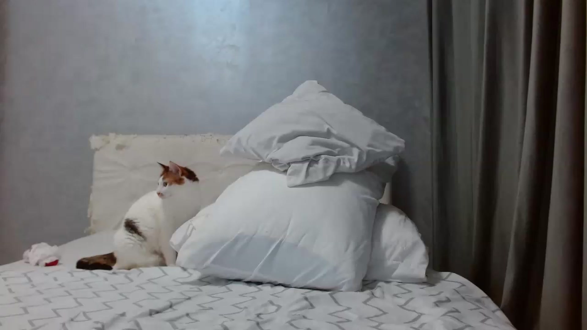 Gallery image thumbnail from Aahh_Emilia's myfreecams stream on, 05/27/2026, 18:10 image 3 of 20