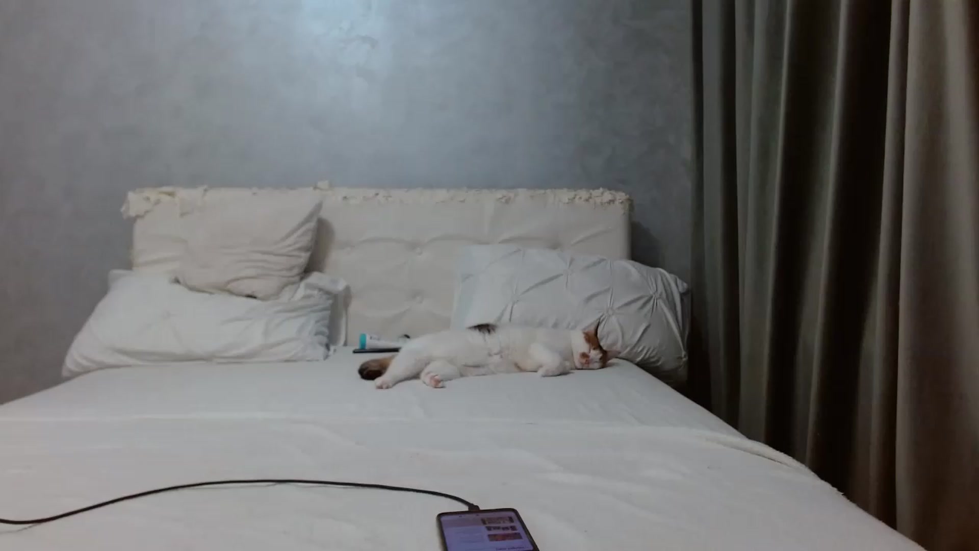 Gallery image thumbnail from Aahh_Emilia's myfreecams stream on, 06/06/2026, 17:04 image 6 of 20