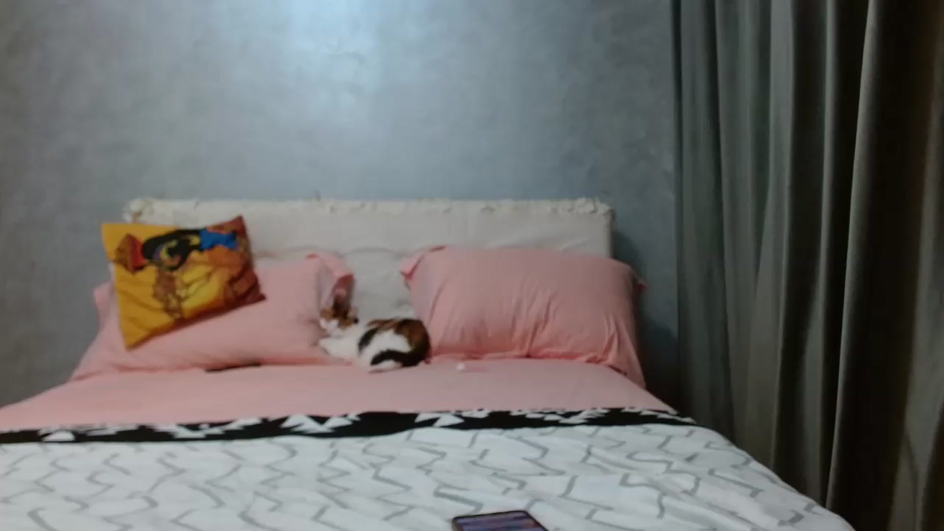 Gallery image thumbnail from Aahh_Emilia's myfreecams stream on, 06/09/2026, 16:40 image 18 of 20
