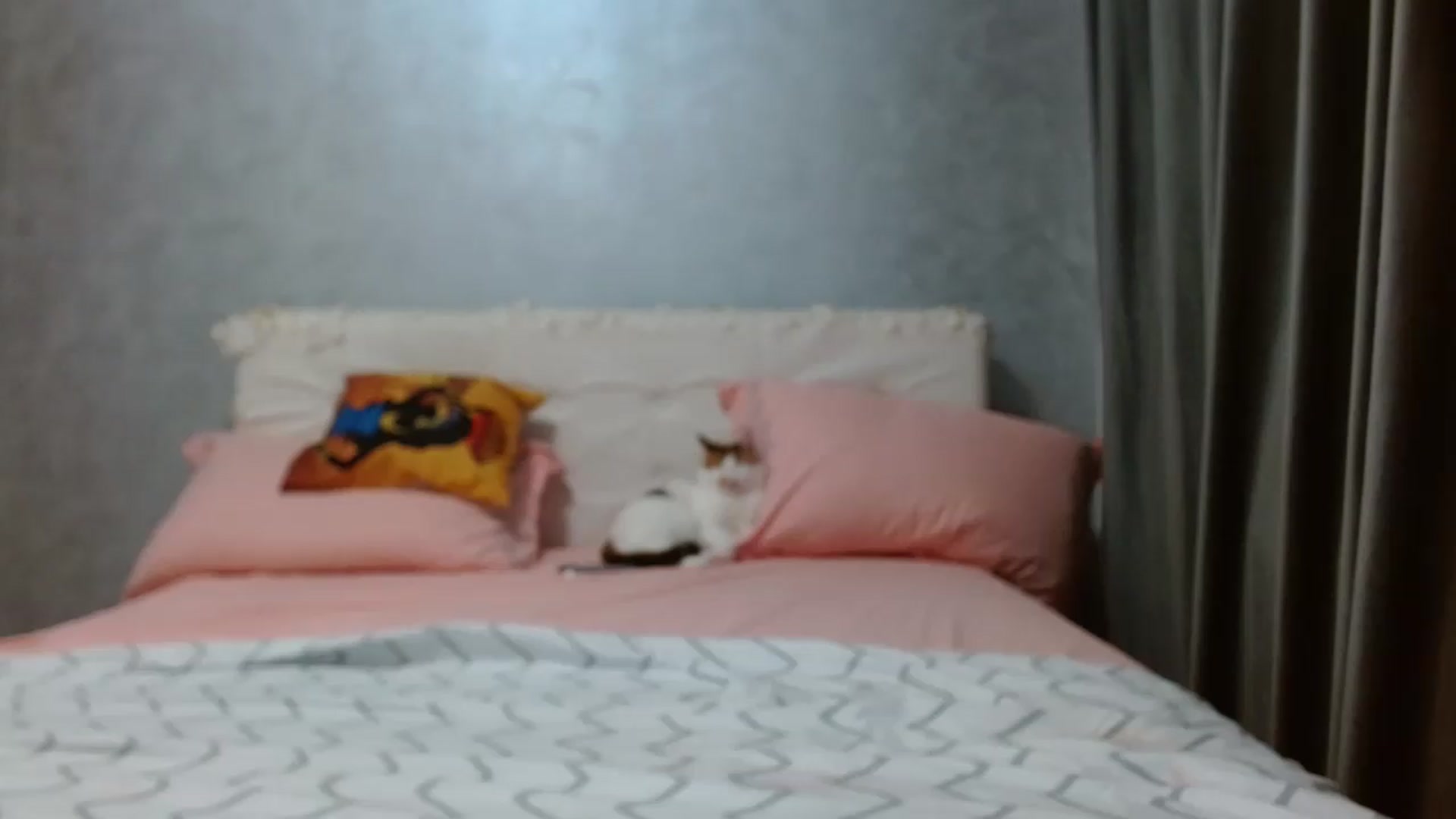 Gallery image thumbnail from Aahh_Emilia's myfreecams stream on, 06/13/2026, 16:45 image 14 of 20