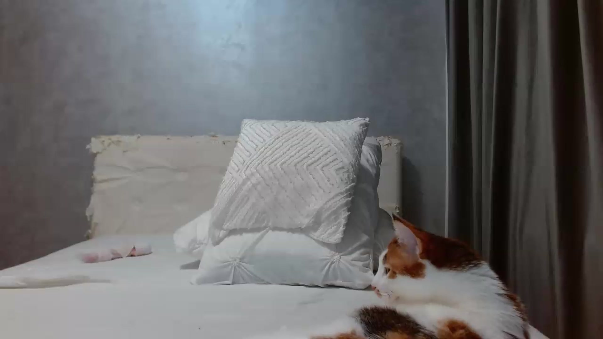 Gallery image thumbnail from Aahh_Emilia's myfreecams stream on, 06/16/2026, 17:59 image 7 of 20