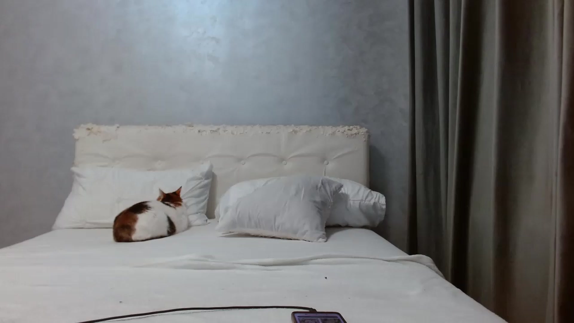 Gallery image thumbnail from Aahh_Emilia's myfreecams stream on, 06/21/2026, 16:35 image 14 of 20