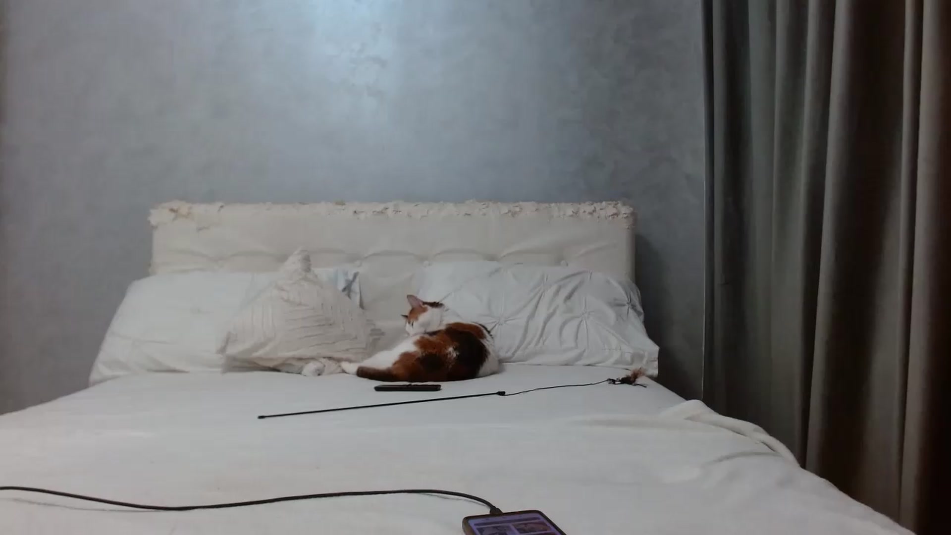 Gallery image thumbnail from Aahh_Emilia's myfreecams stream on, 06/24/2026, 16:41 image 19 of 20