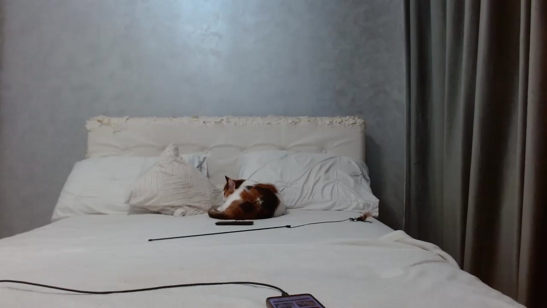 Gallery image thumbnail from Aahh_Emilia's myfreecams stream on, 06/24/2026, 16:41 image 18 of 20