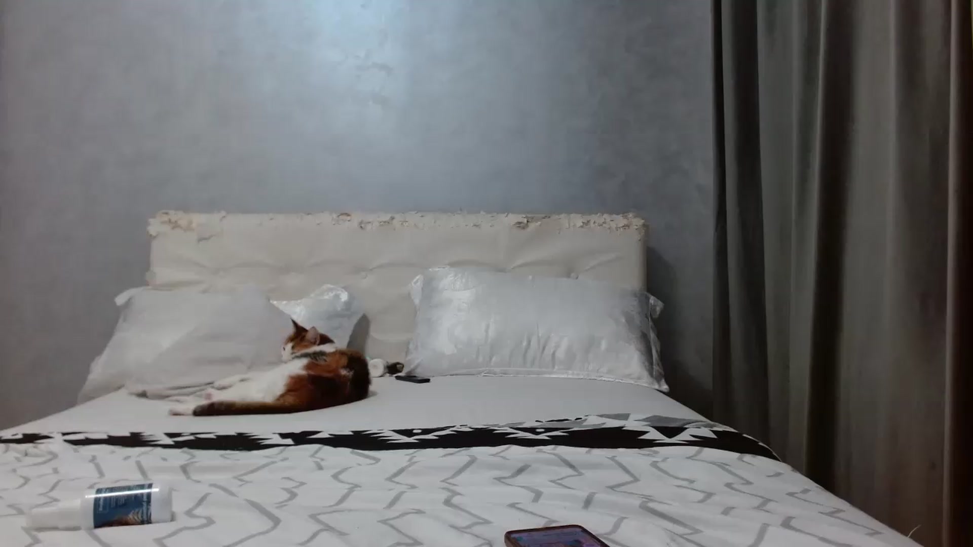 Gallery image thumbnail from Aahh_Emilia's myfreecams stream on, 07/02/2026, 16:47 image 10 of 20