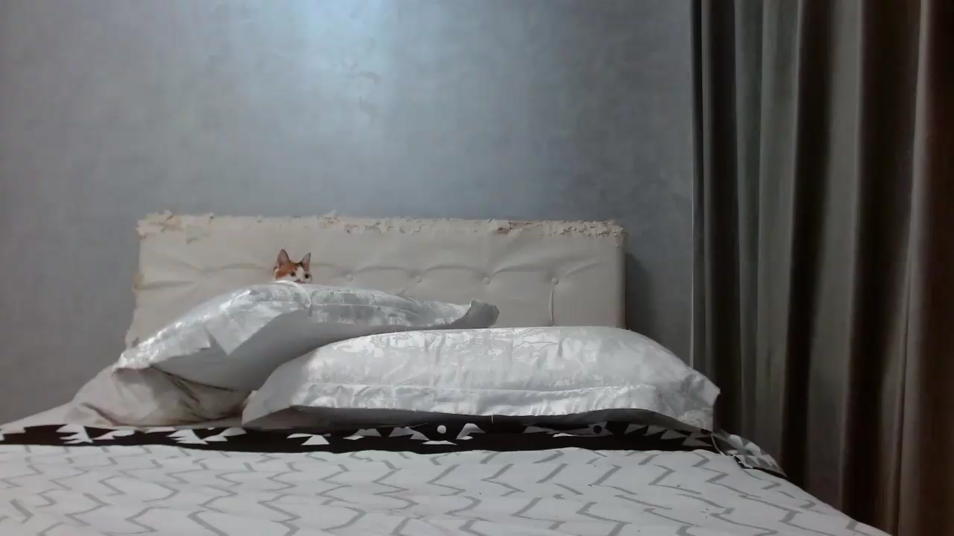 Gallery image thumbnail from Aahh_Emilia's myfreecams stream on, 07/05/2026, 18:24 image 14 of 20