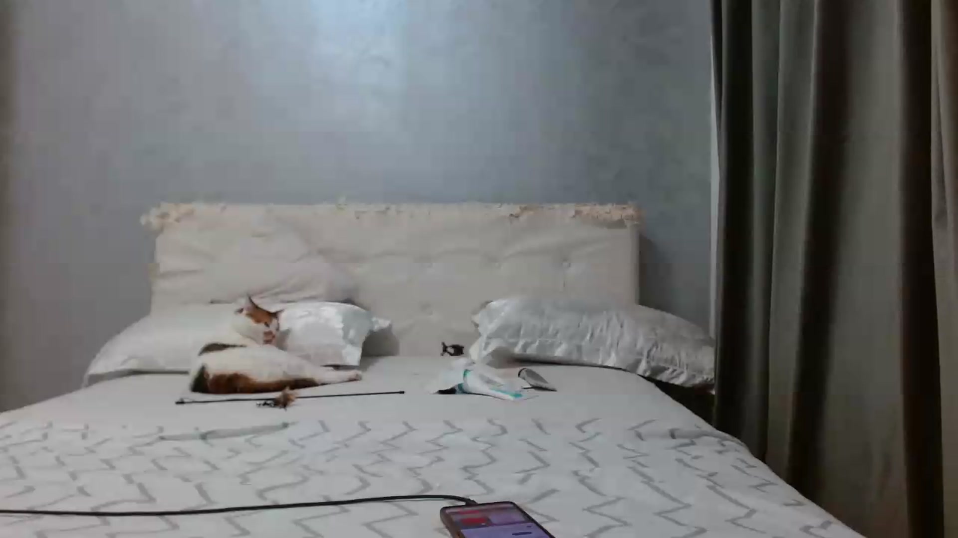 Gallery image thumbnail from Aahh_Emilia's myfreecams stream on, 07/06/2026, 16:32 image 19 of 20