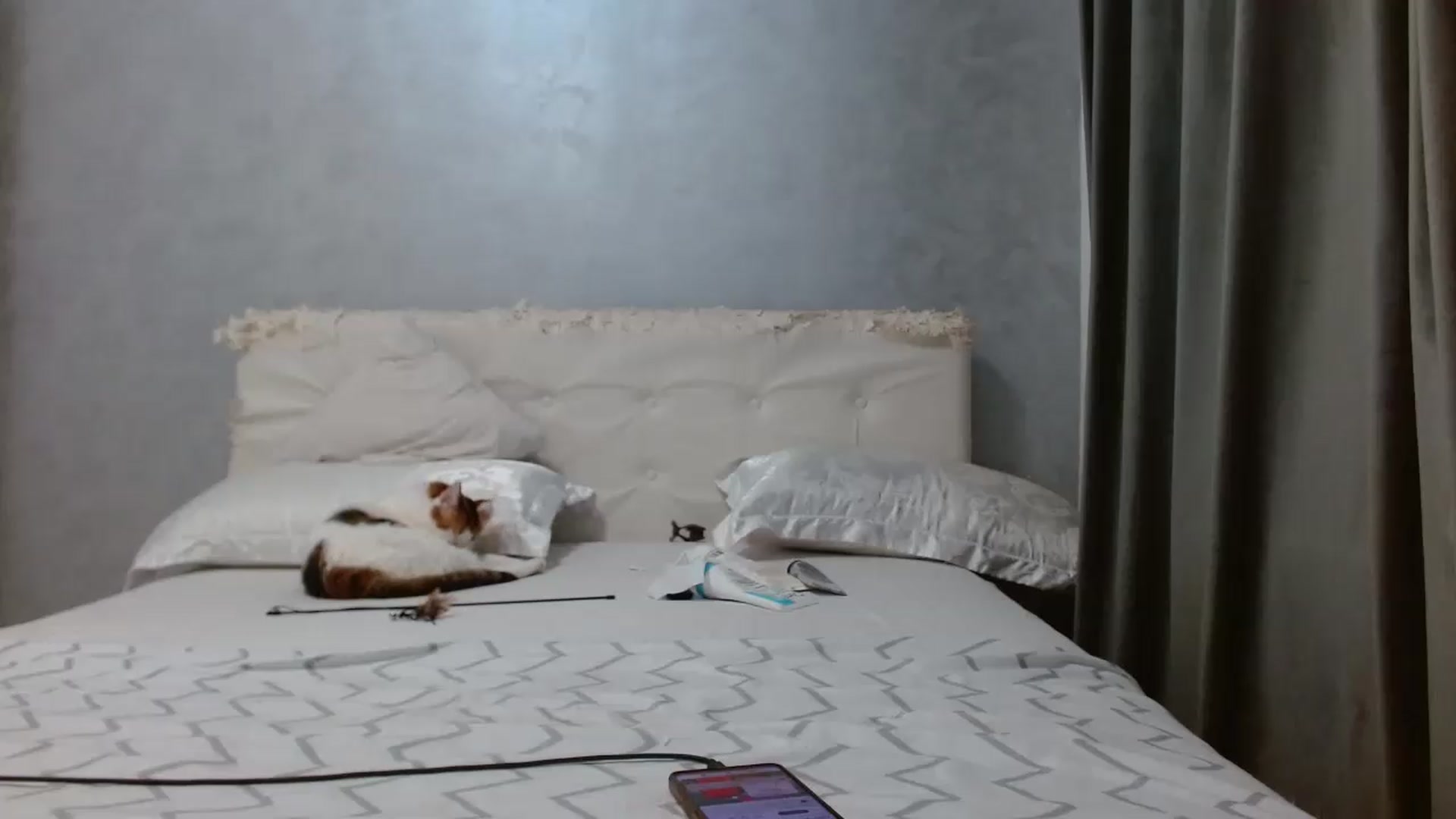 Gallery image thumbnail from Aahh_Emilia's myfreecams stream on, 07/06/2026, 16:32 image 17 of 20