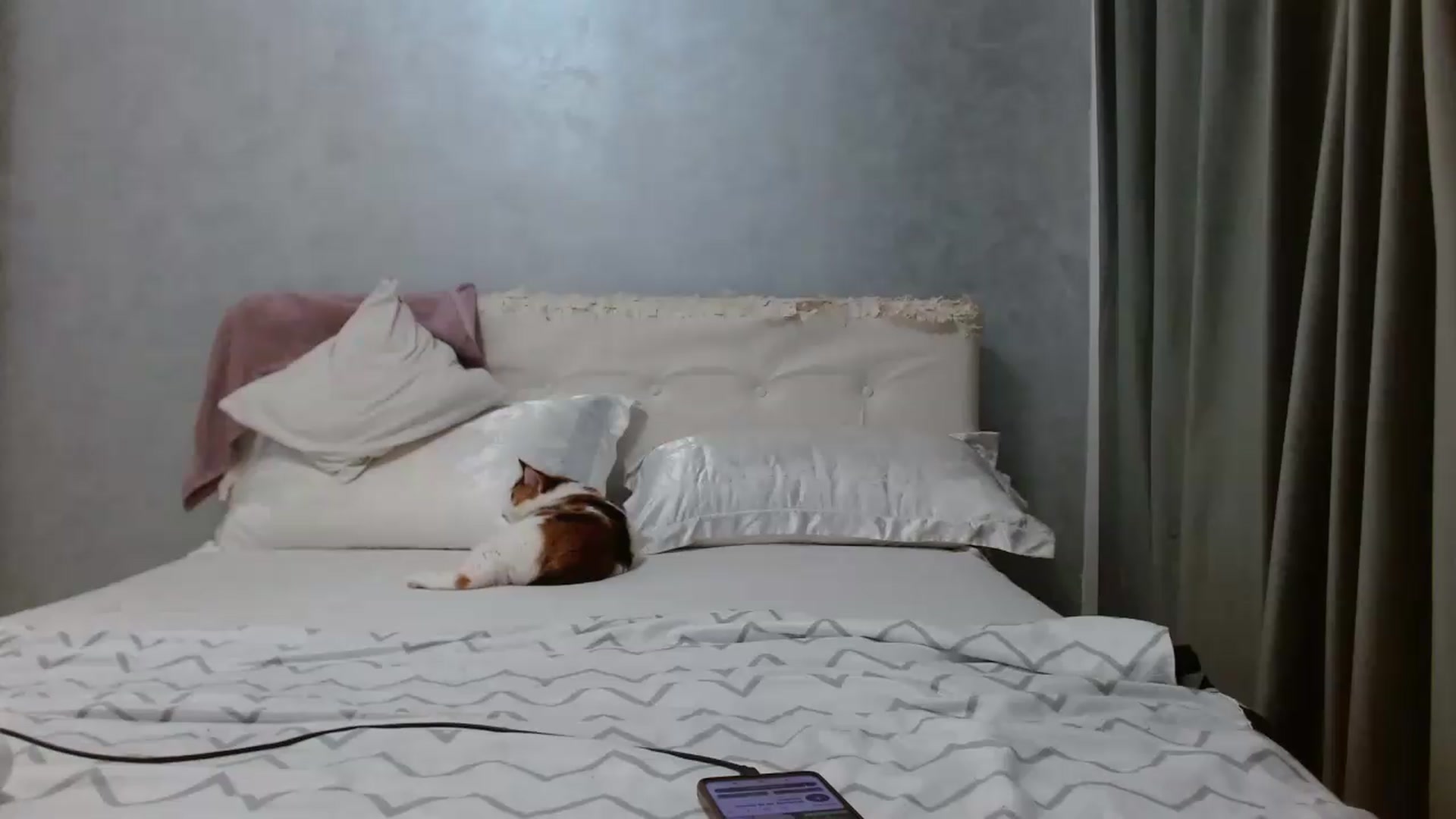 Gallery image thumbnail from Aahh_Emilia's myfreecams stream on, 07/08/2026, 16:21 image 17 of 20