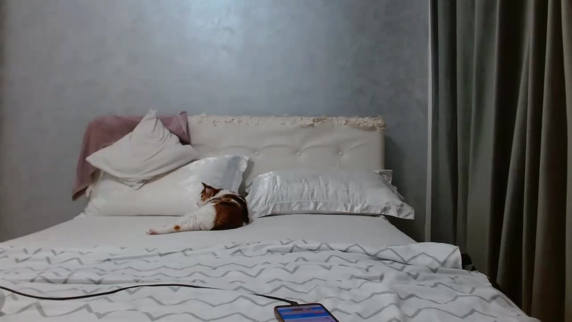 Gallery image thumbnail from Aahh_Emilia's myfreecams stream on, 07/08/2026, 16:21 image 18 of 20