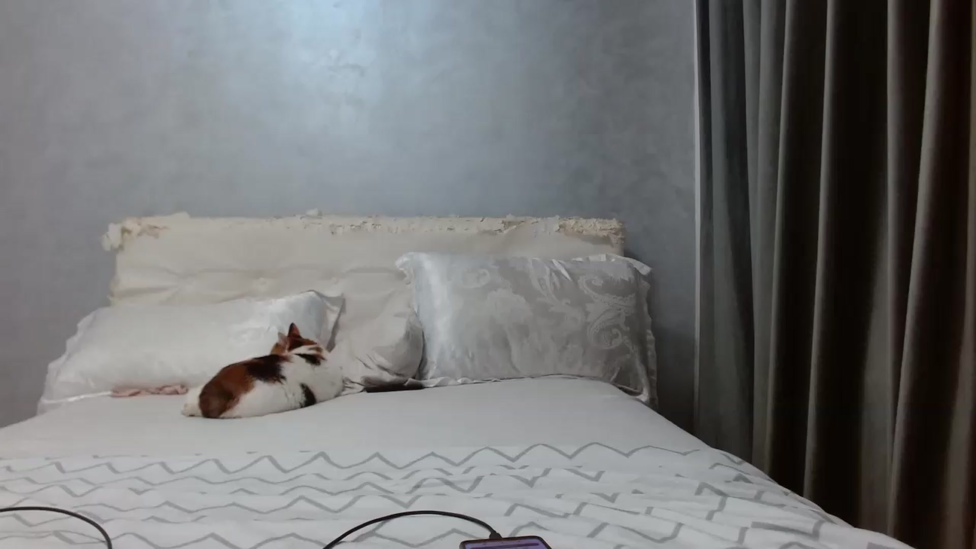 Gallery image thumbnail from Aahh_Emilia's myfreecams stream on, 07/13/2026, 16:53 image 12 of 20