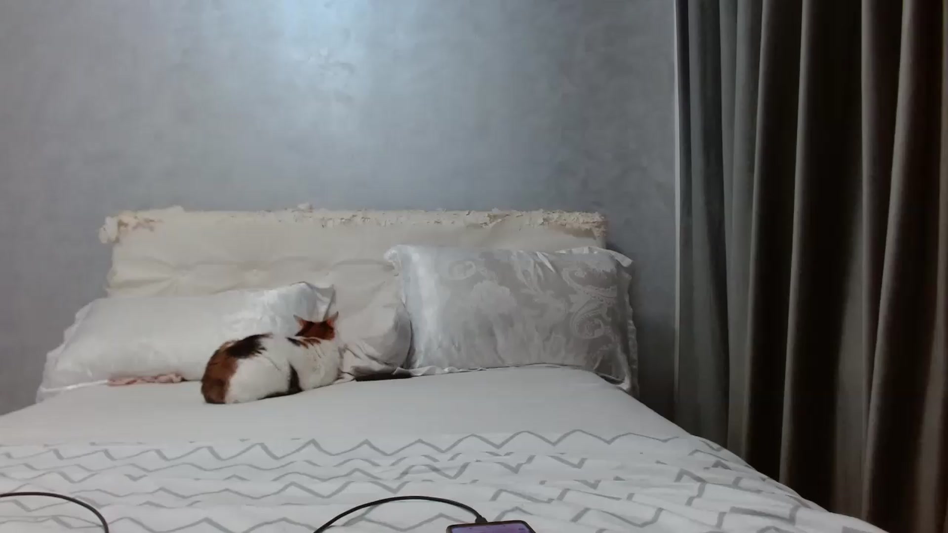 Gallery image thumbnail from Aahh_Emilia's myfreecams stream on, 07/13/2026, 16:53 image 11 of 20