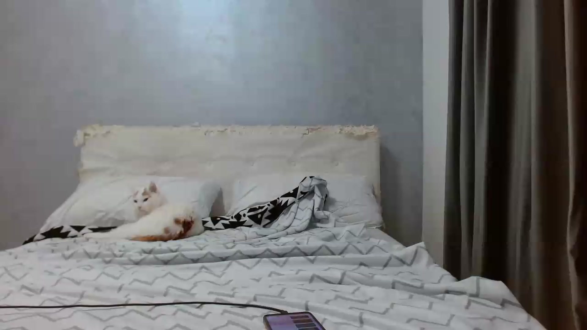 Gallery image thumbnail from Aahh_Emilia's myfreecams stream on, 07/16/2026, 16:34 image 14 of 20