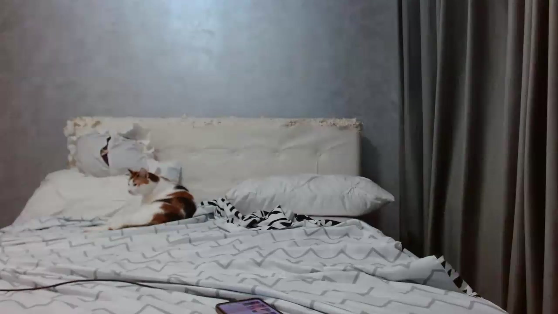 Gallery image thumbnail from Aahh_Emilia's myfreecams stream on, 07/19/2026, 16:35 image 15 of 20