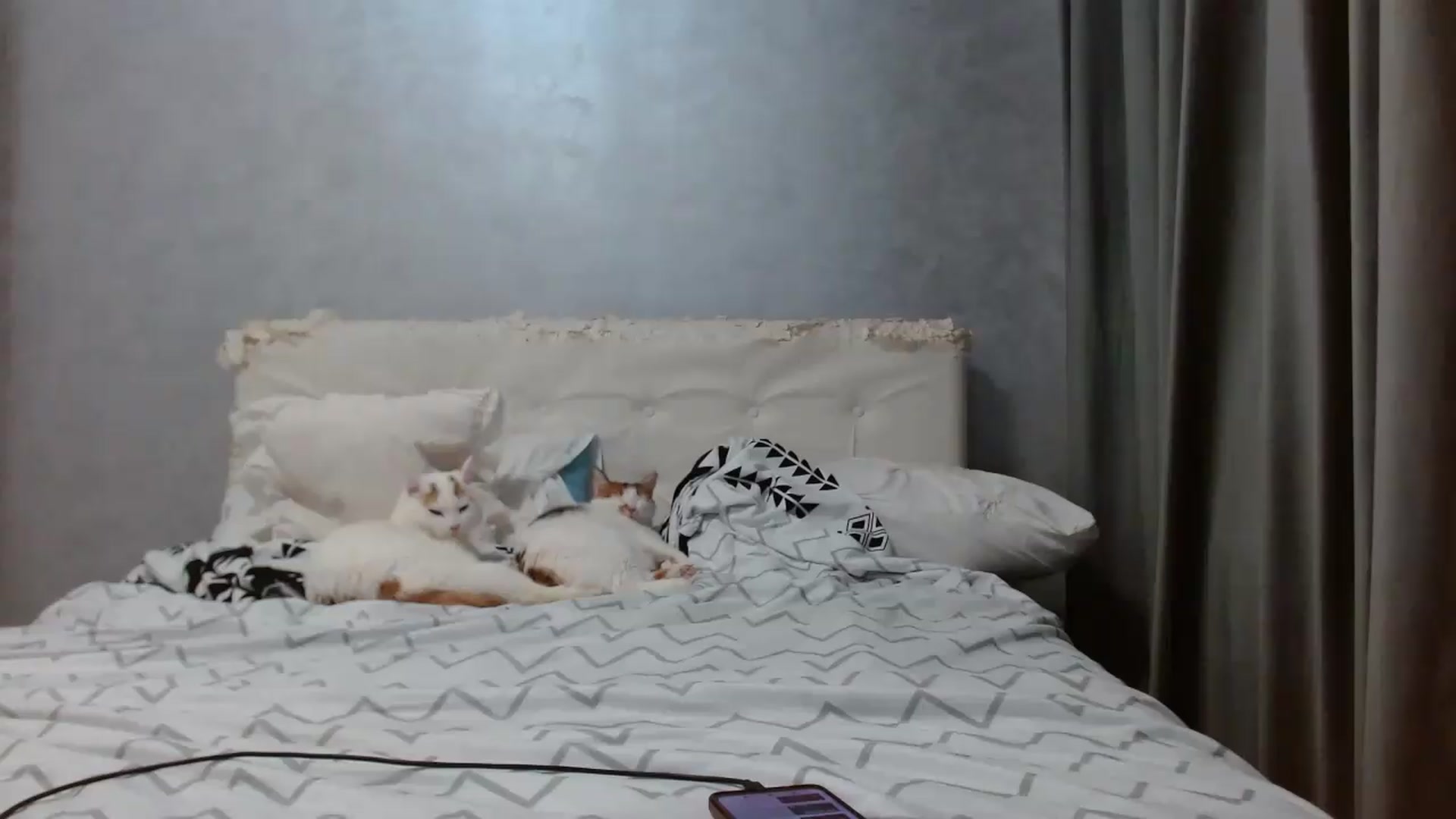 Gallery image thumbnail from Aahh_Emilia's myfreecams stream on, 07/26/2026, 16:41 image 18 of 20